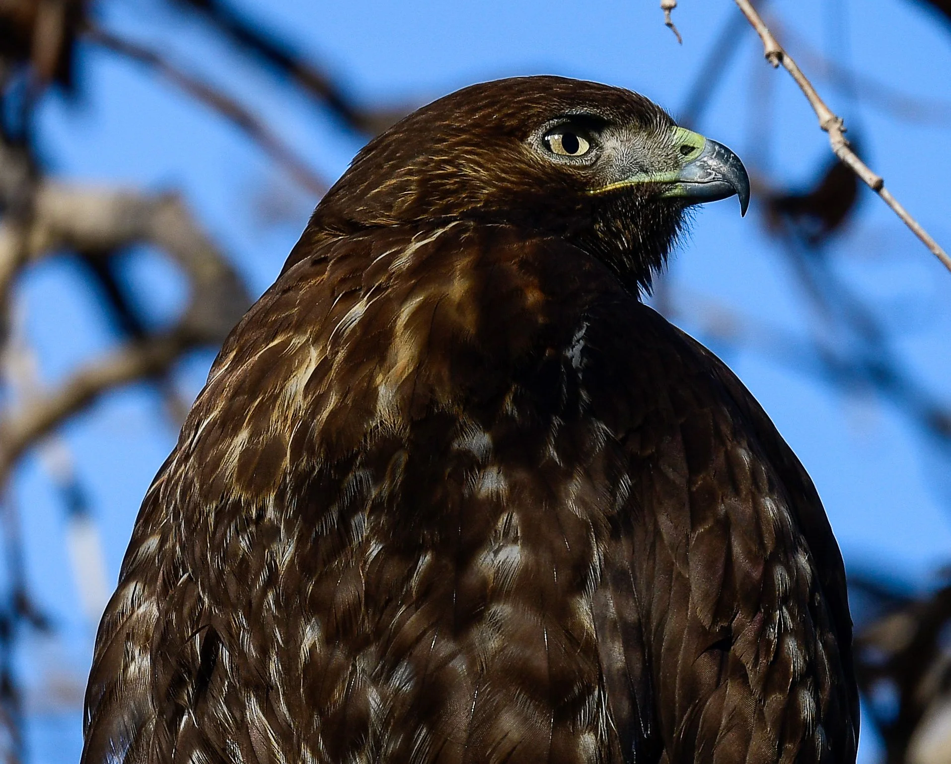 Bulmer Memorial Bird Walk at Legg Lake