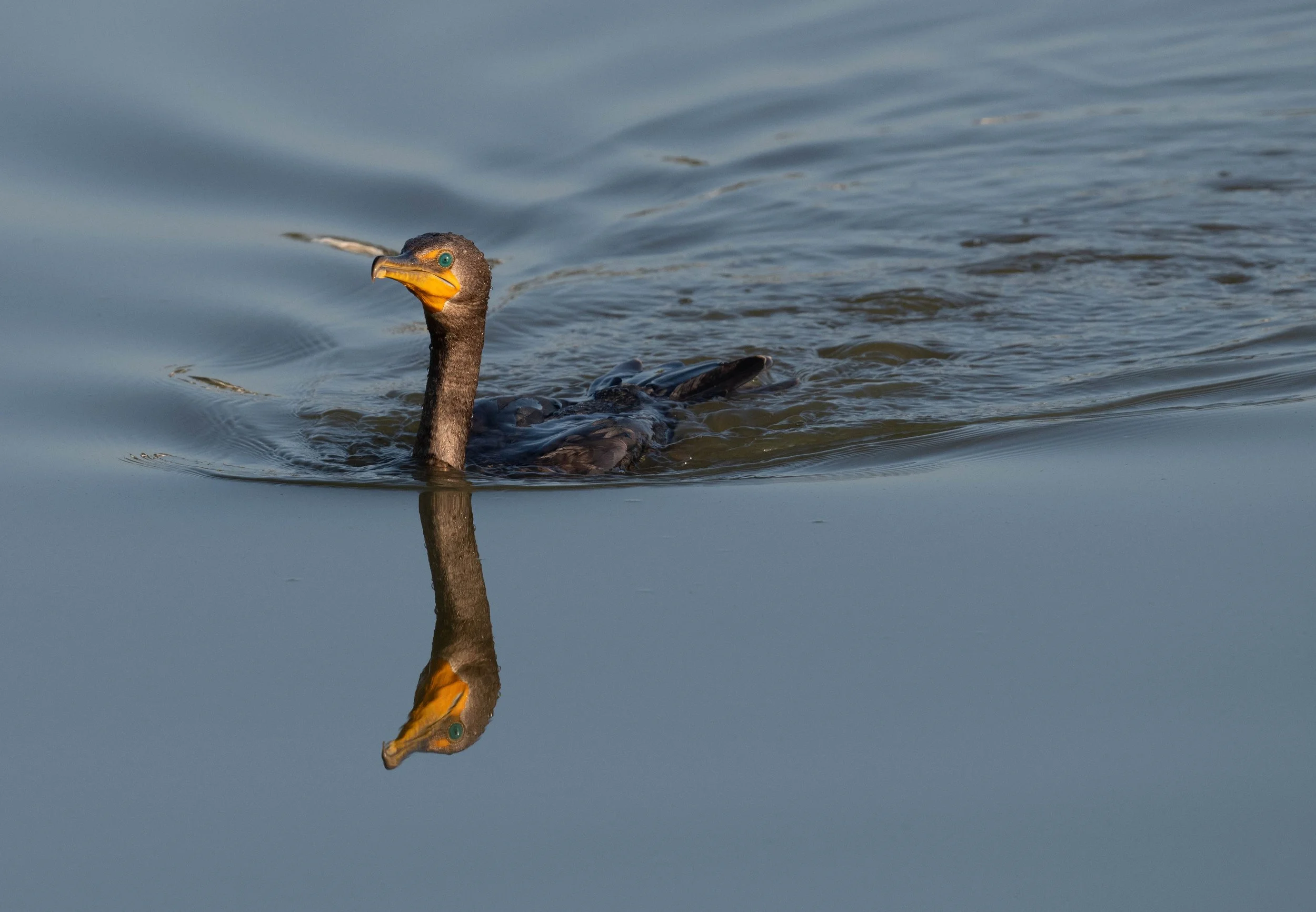 Ken Malloy Harbor Regional Park Field Trip