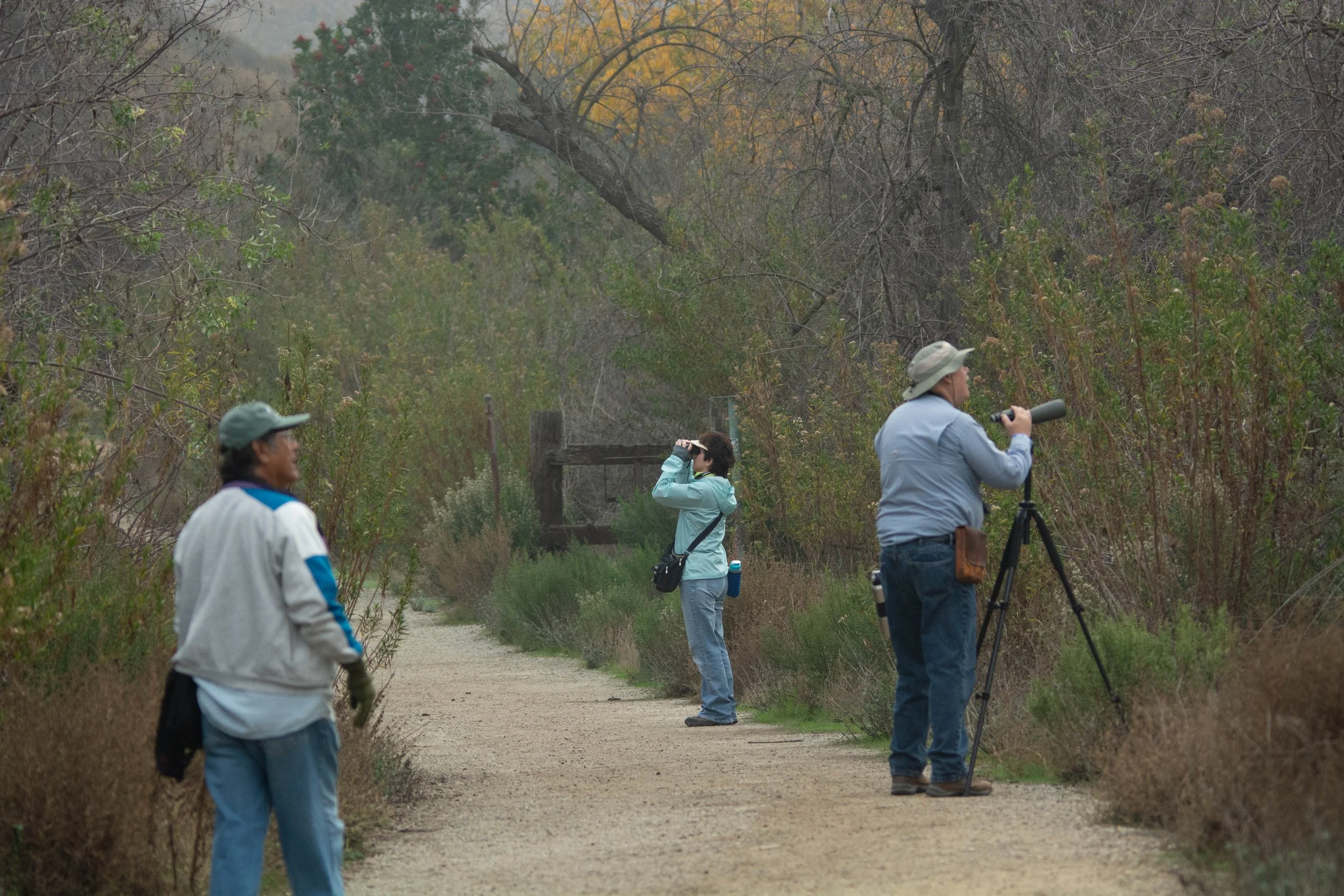 Get ready for the April BIRD-A-THON!