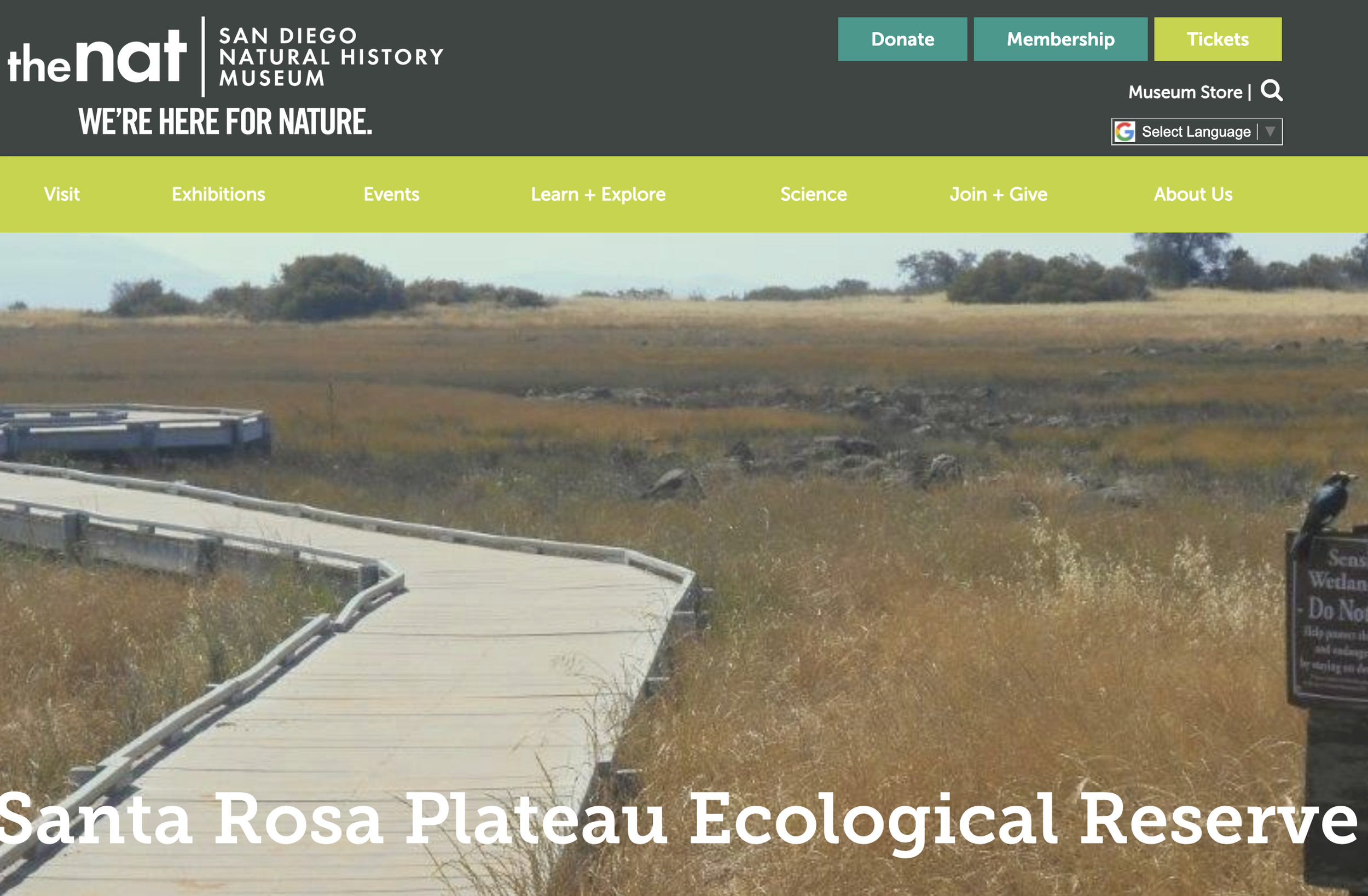 Santa Rosa Plateau Field Trip