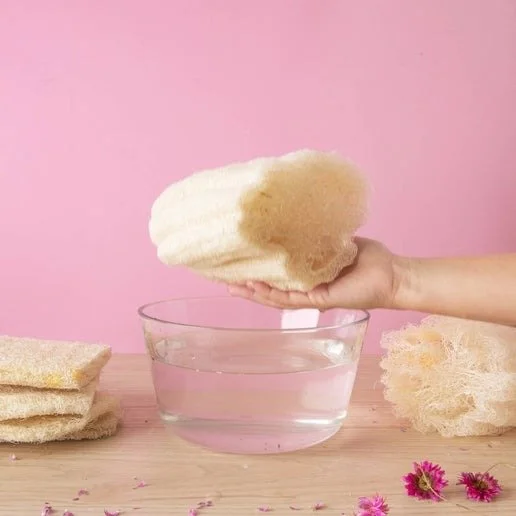 Raw Loofah7.jpg