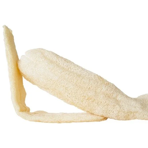 Raw Loofah2.jpg
