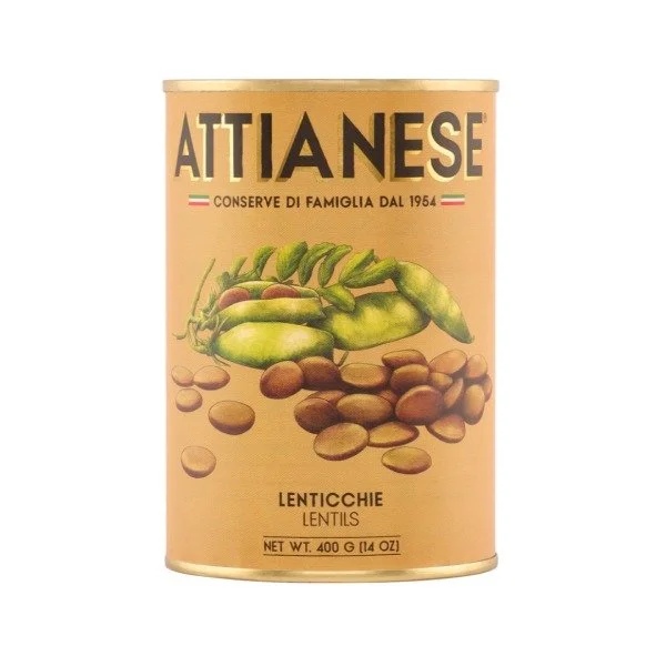 Attianese TinsL.jpg