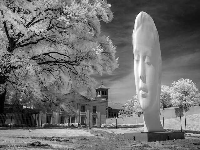 SQ Infrared-2.jpg