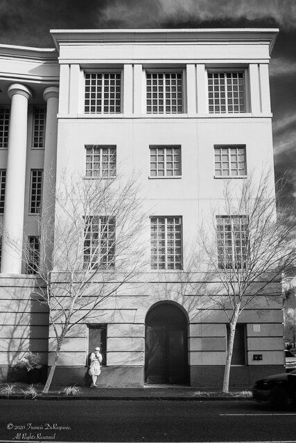 SQ Infrared-3.jpg