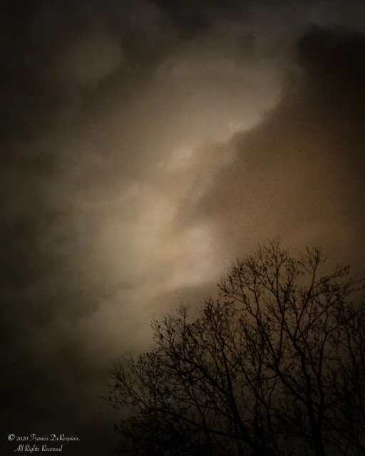 SQ wabi sabi-7.jpg