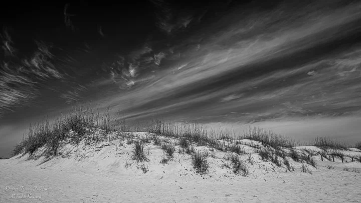 Q2M Landscapes-10.jpg