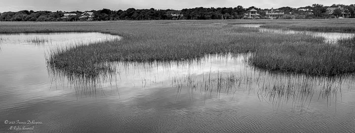 Q2M Landscapes-9.jpg
