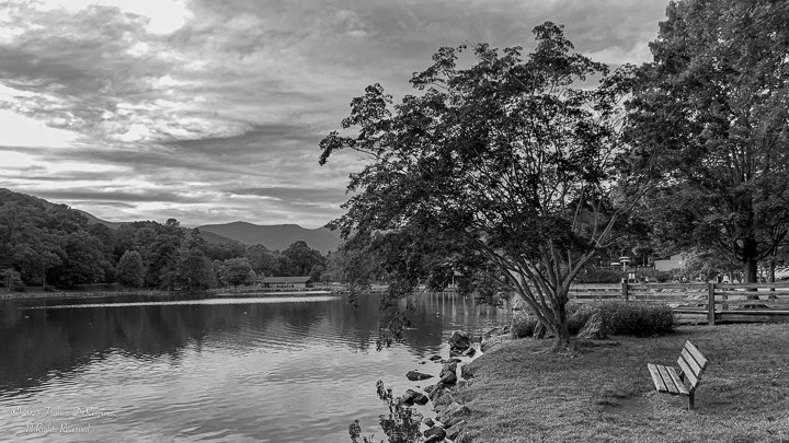 Q2M Landscapes-6.jpg