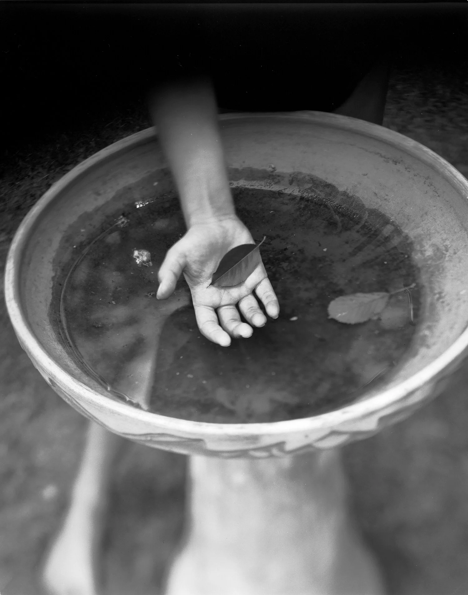 Offering  WEB copy.jpg