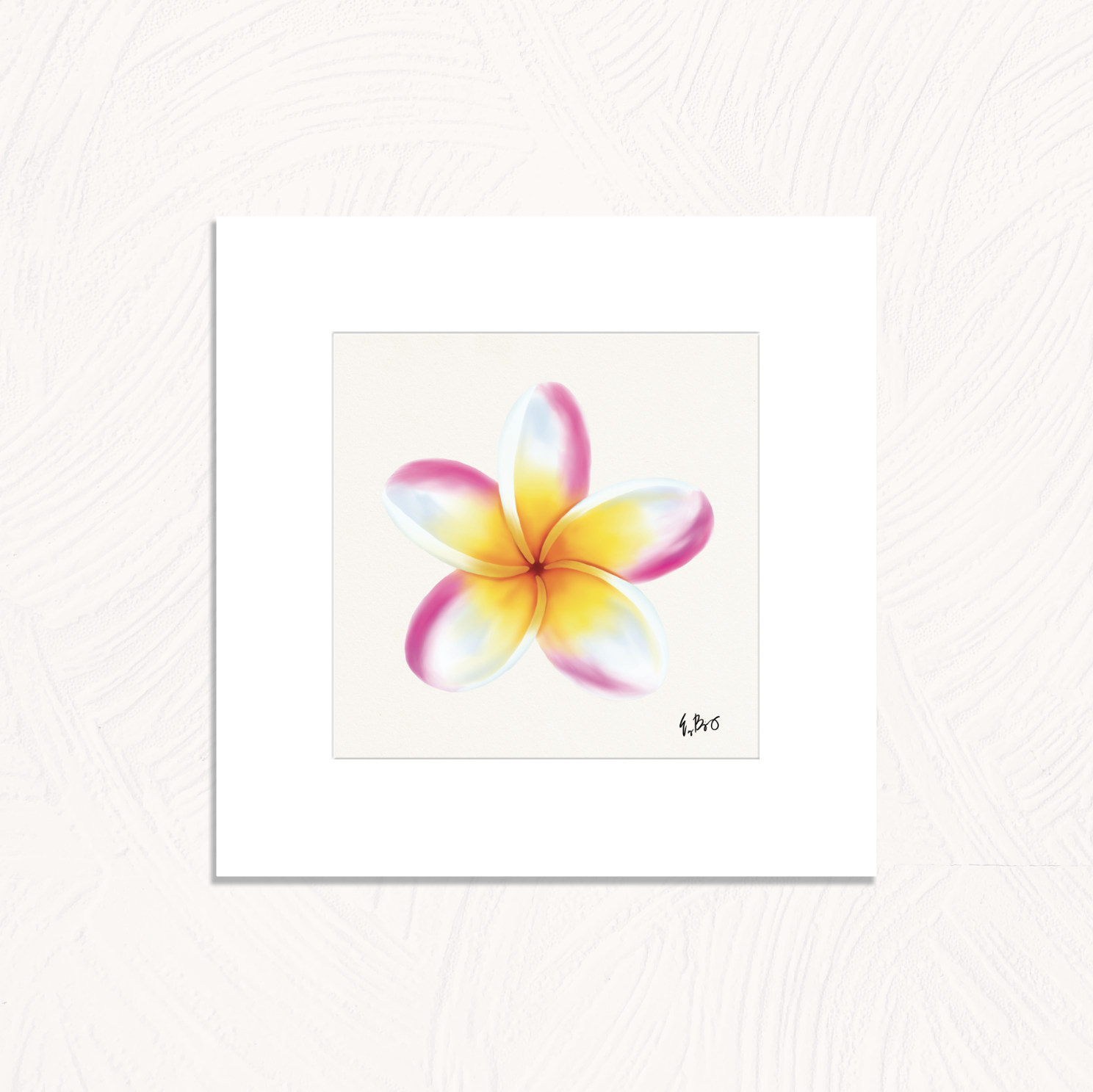 PLUMERIAPINKWHITE-12X12SW.png