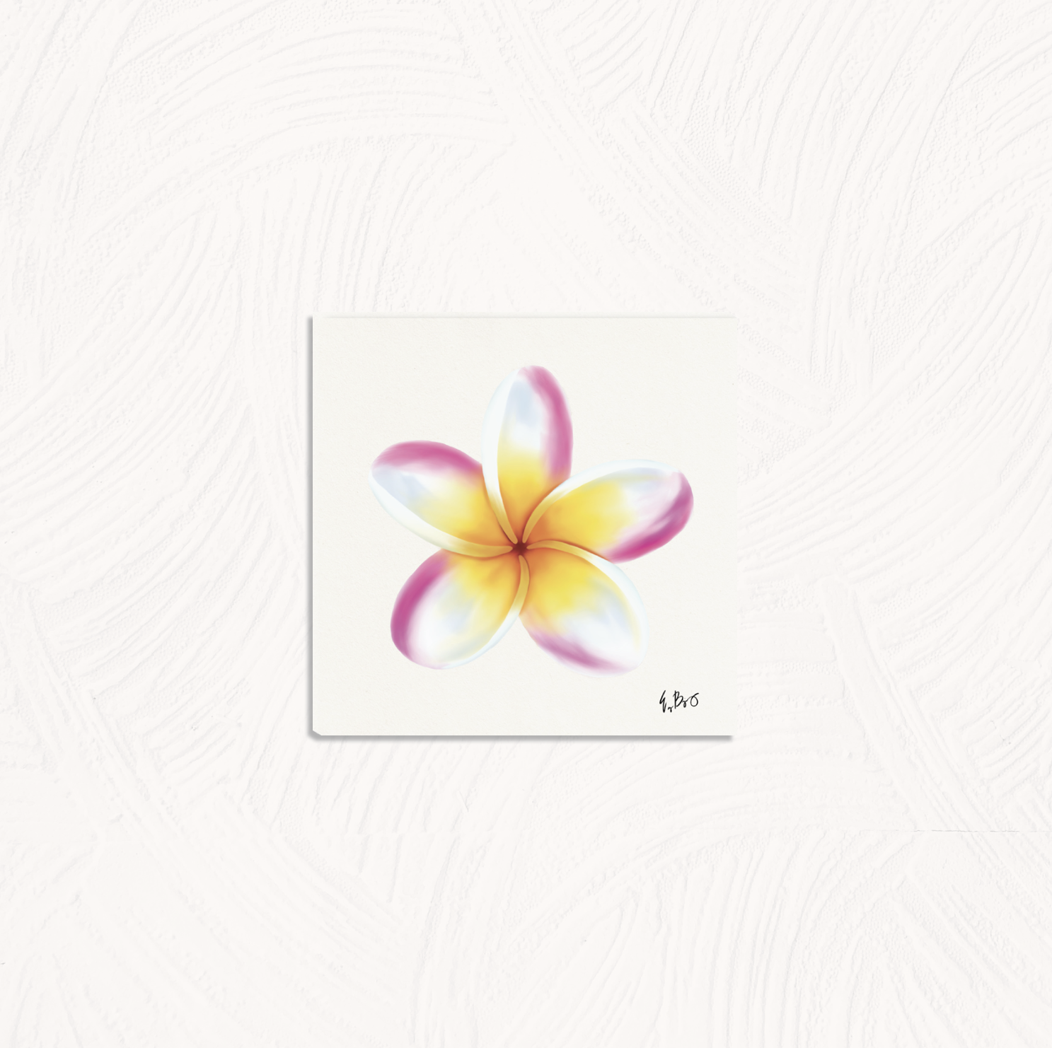 PLUMERIAPINKWHITE-8X8.png