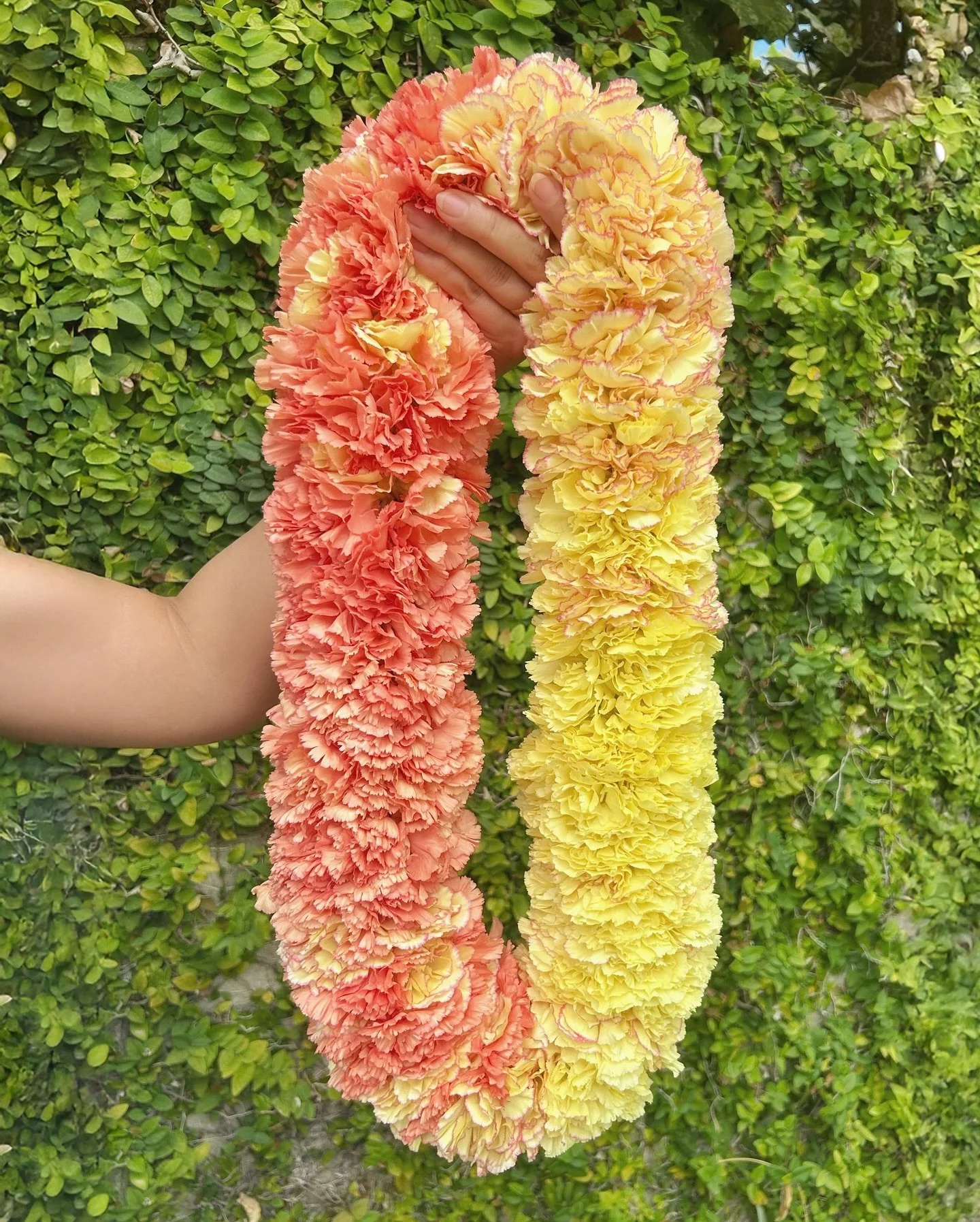 Sometimes you just need to step away and do something different to get the creativity going again💫

I made this lei for my sister&rsquo;s 30th birthday!🎂 With 150 carnations later, it turned into a real labor of love.
Johnny came through with the p