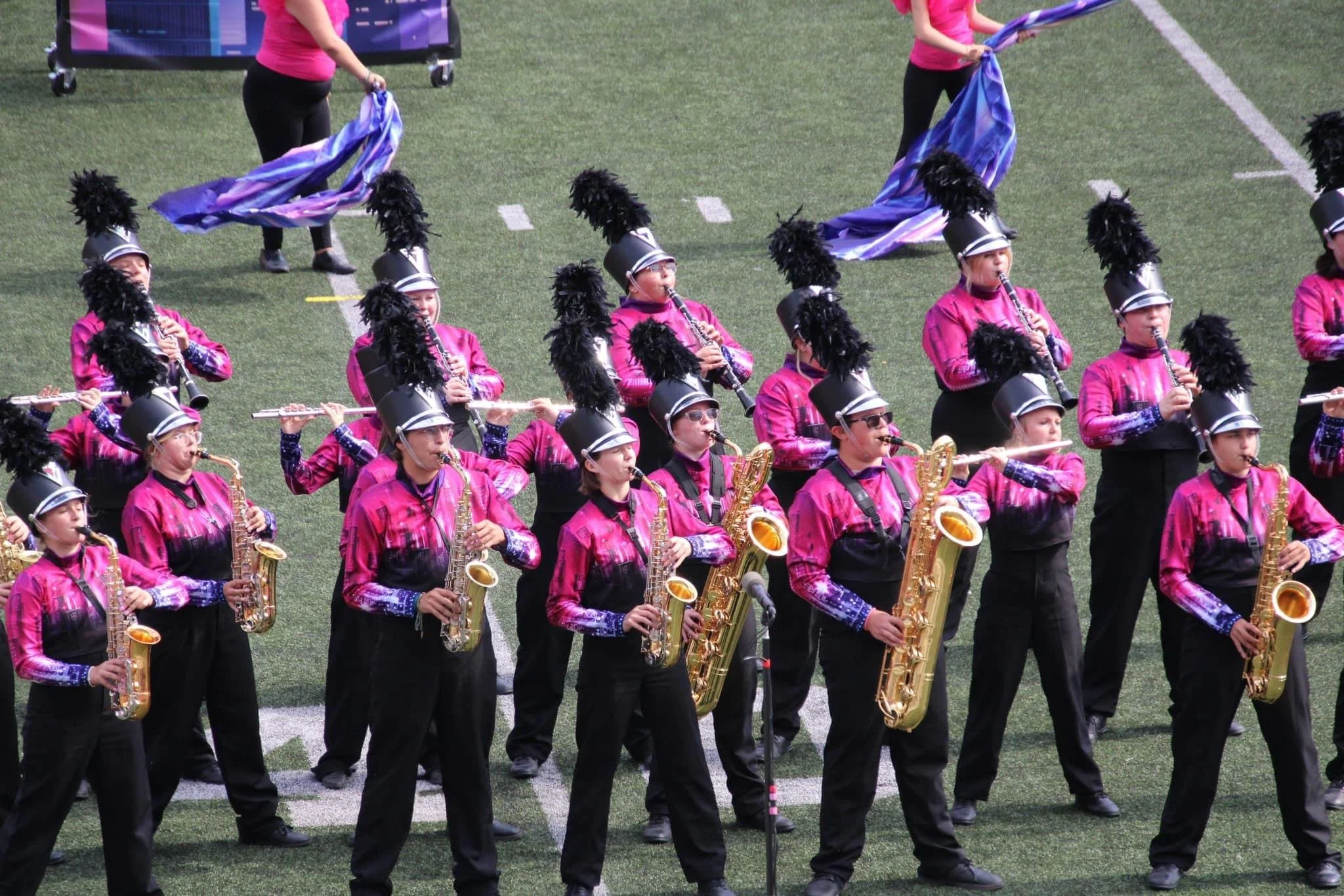 Primary Band Performance Showcase