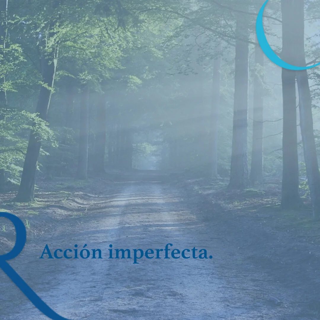 Acción imperfecta