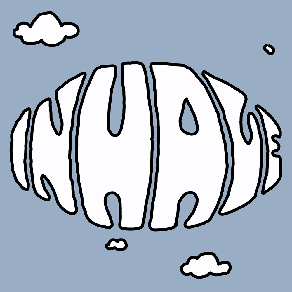 Animation.gif