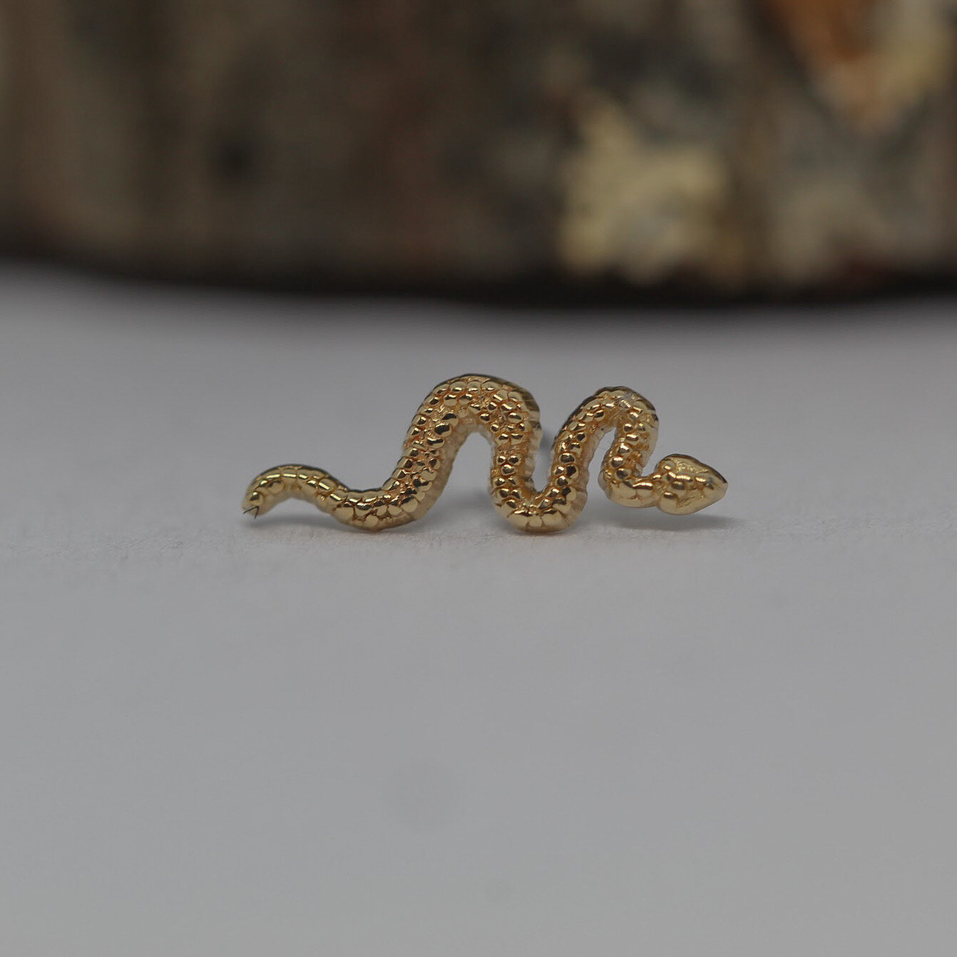 Snake YG.jpeg