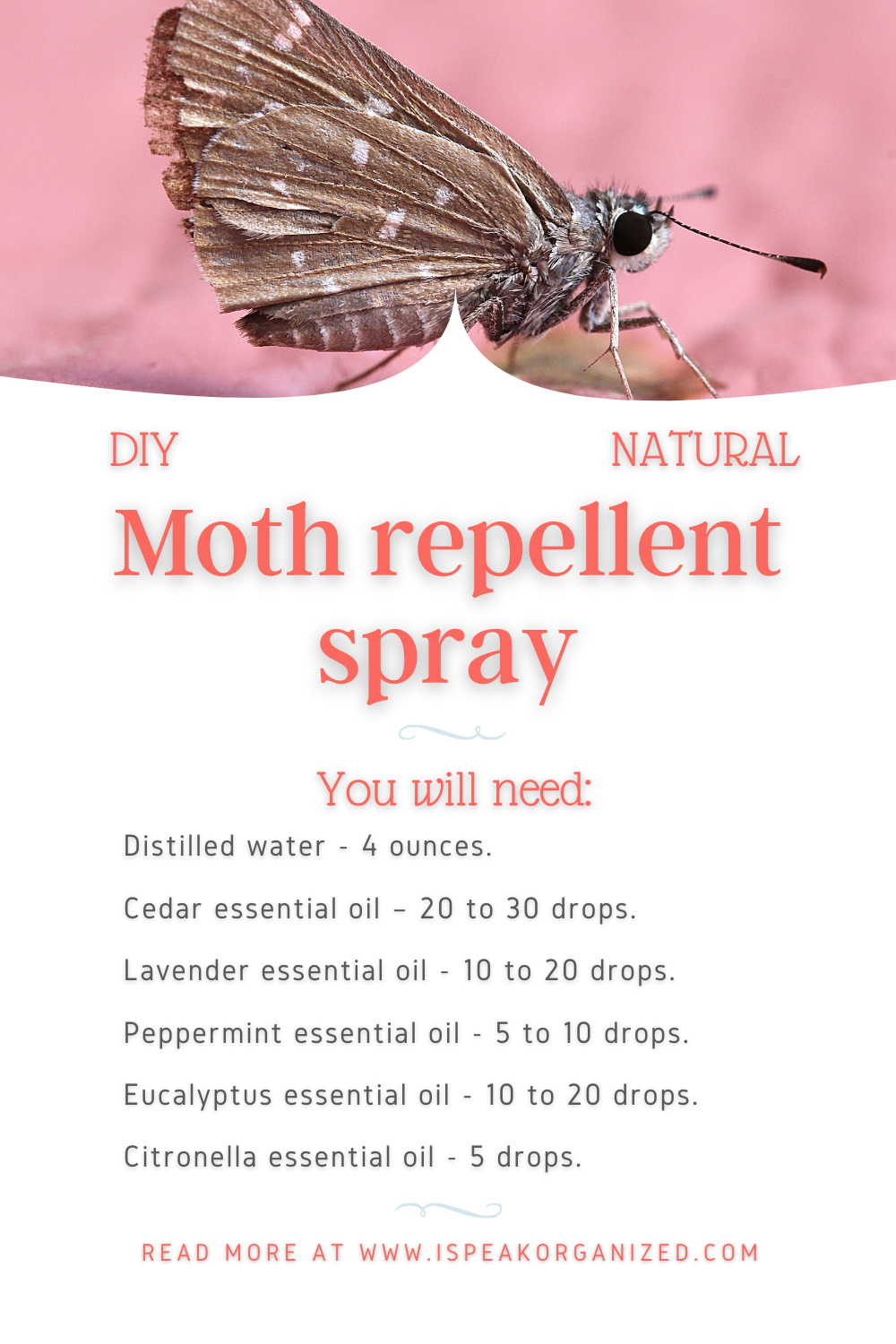 Moth Control In House Use This to Get Rid of Moths in Your Closet — I Speak Organized