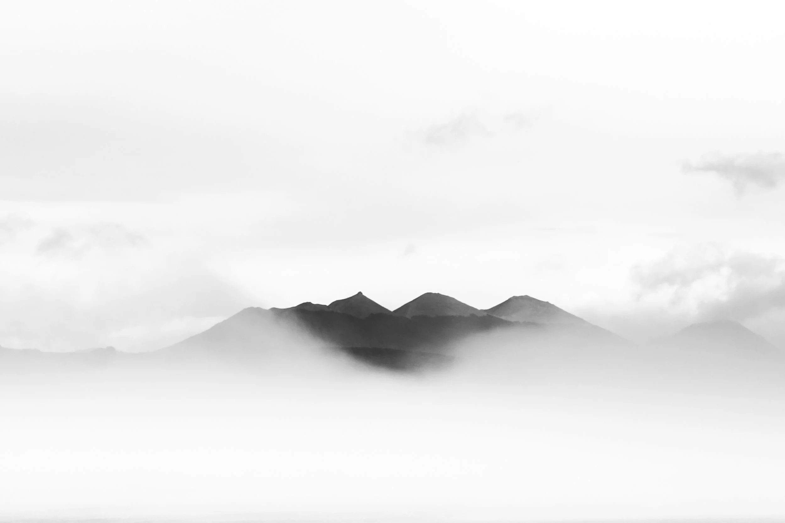 TDFfog_1.JPG