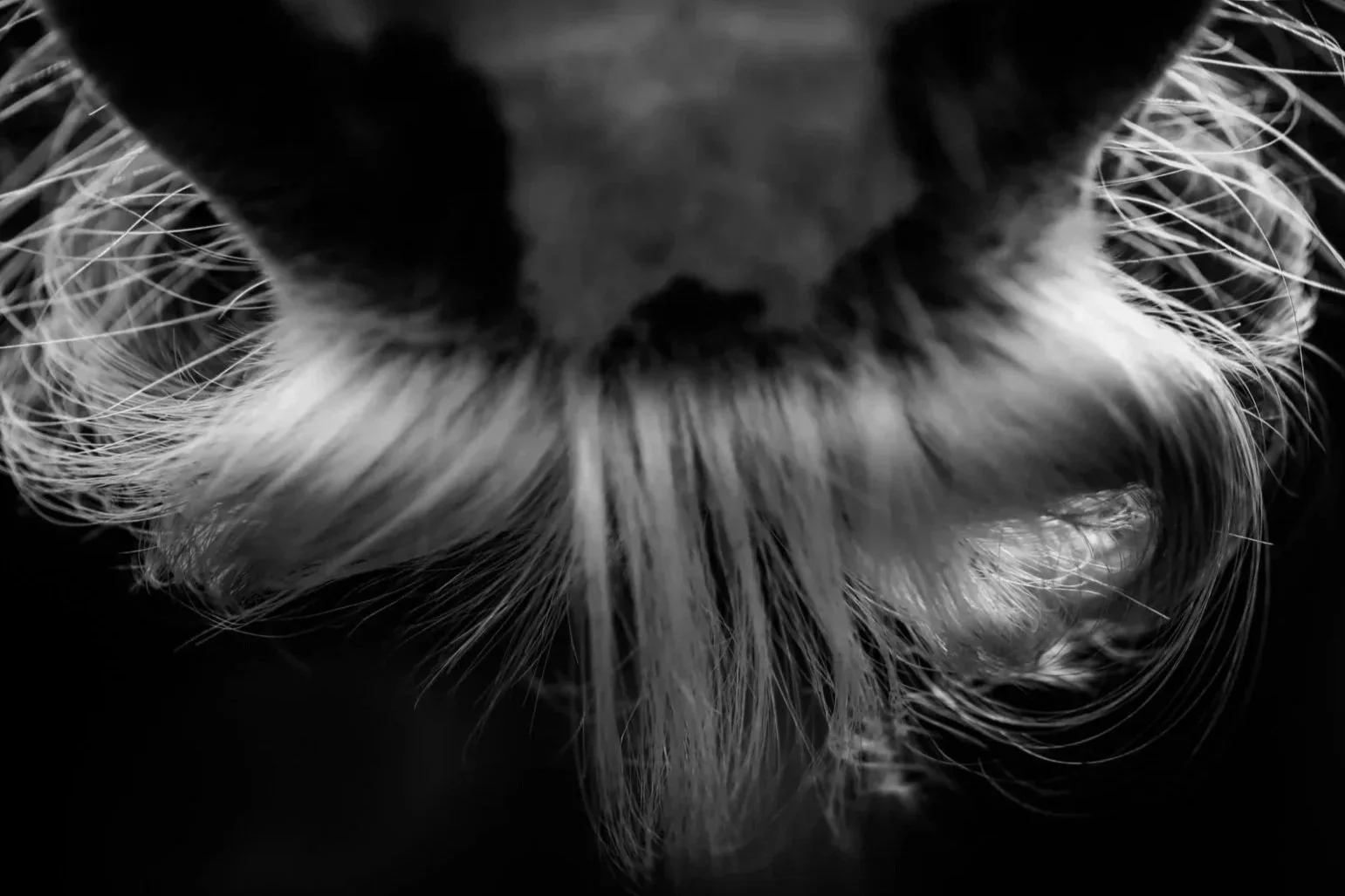 Details