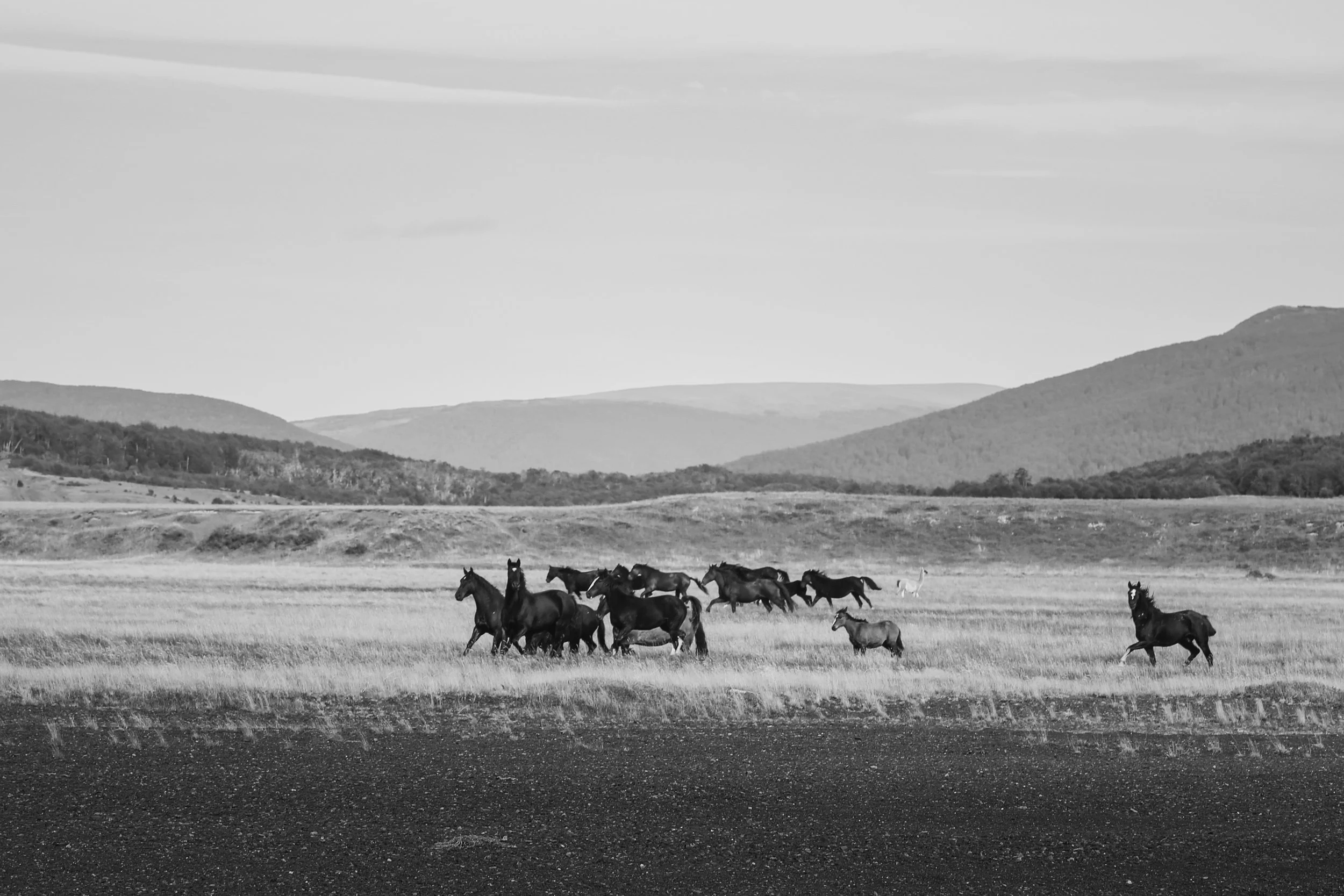 TierraDelFuego2021_PuestoEscondido_253_VSCO.JPG