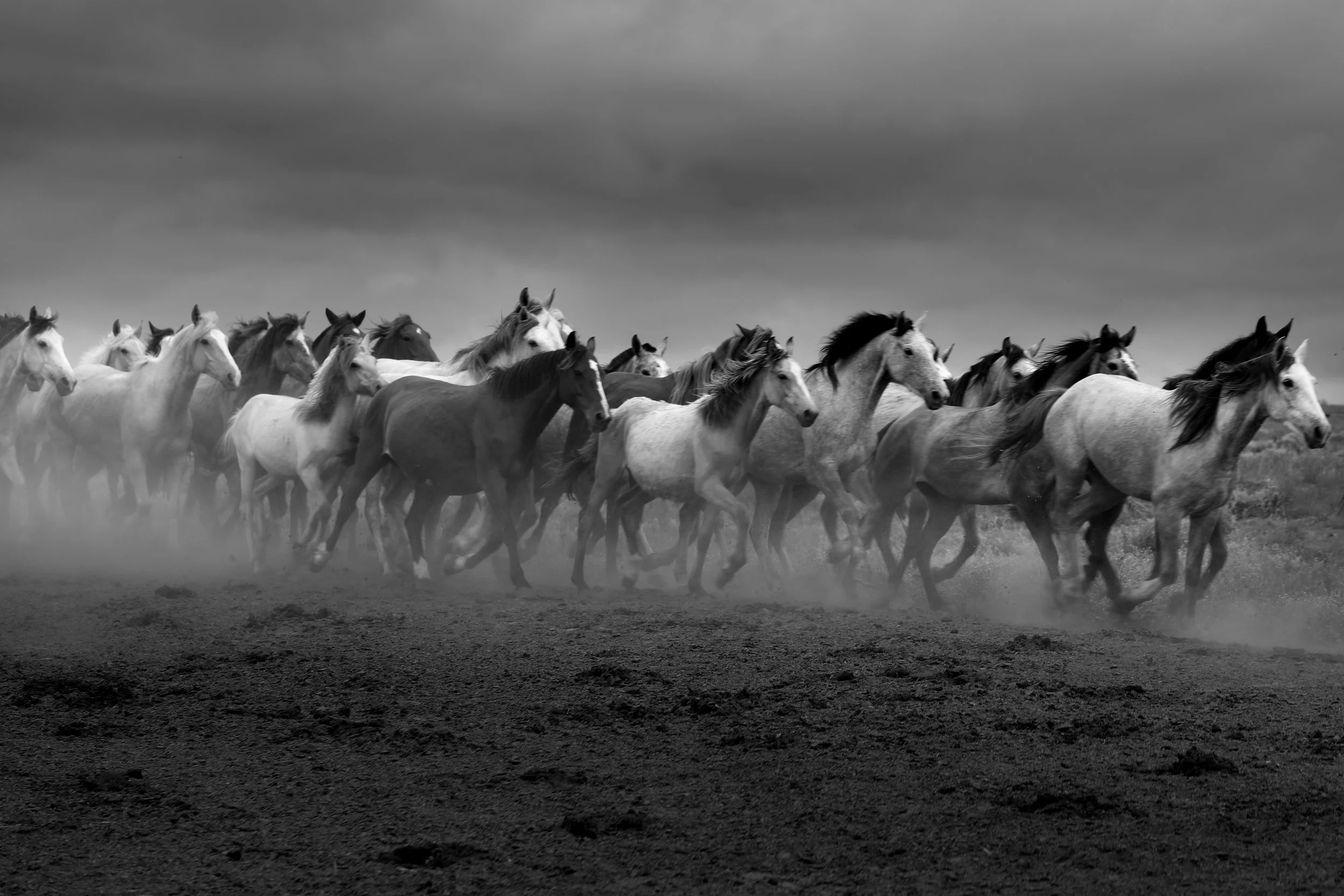 Riders on the Storm