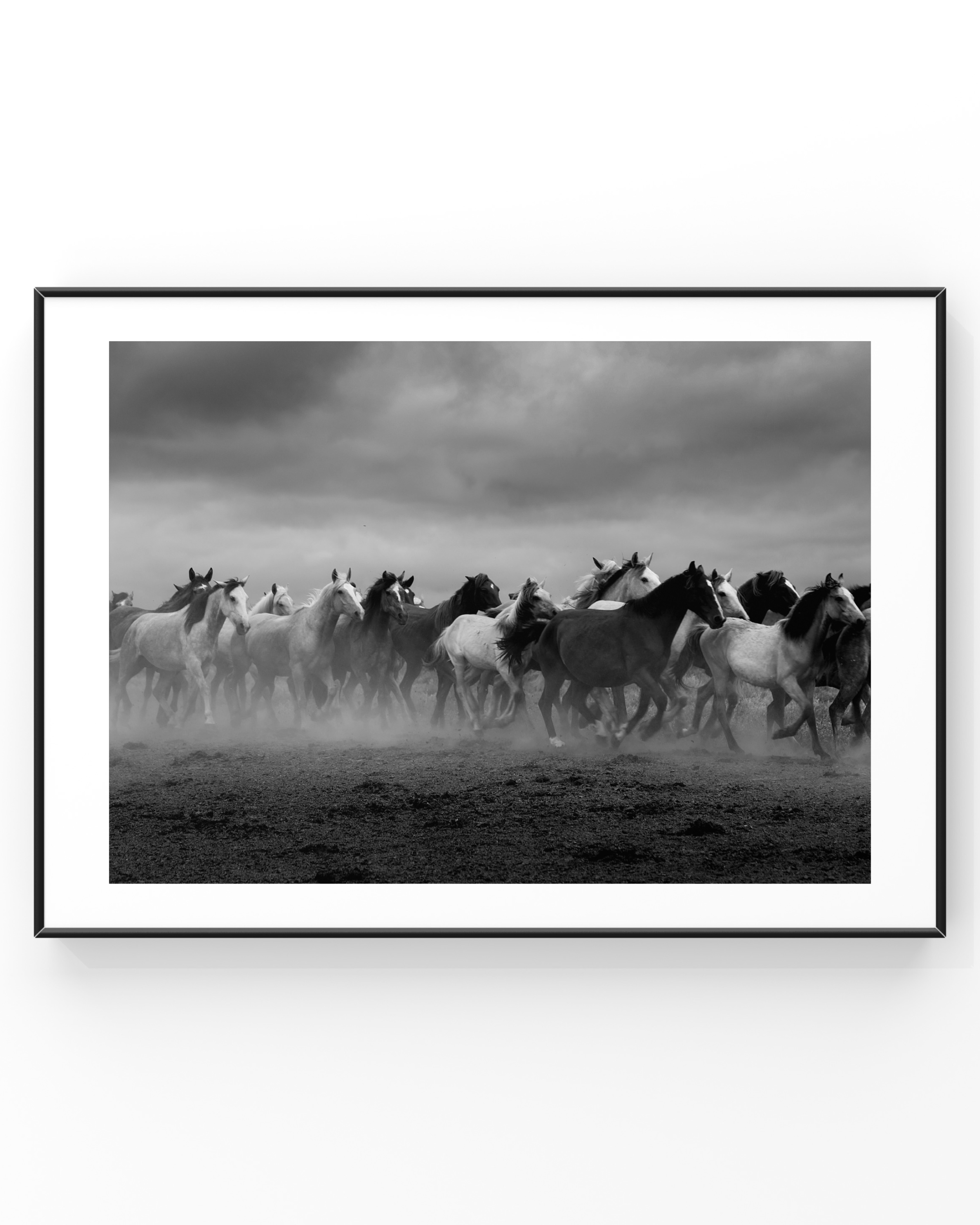 Black and white photo of a herd of horses running on a dirt surface under a cloudy sky.