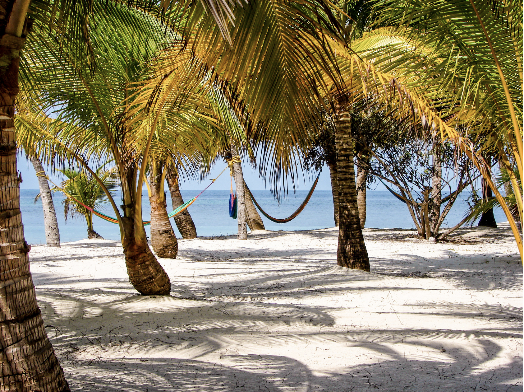 Screen Shot 2020-06-06 at 10.18.27 AM.png