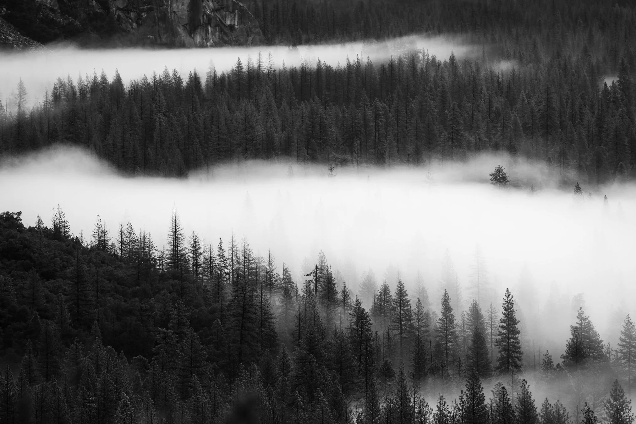 The Mysteries of The Fog