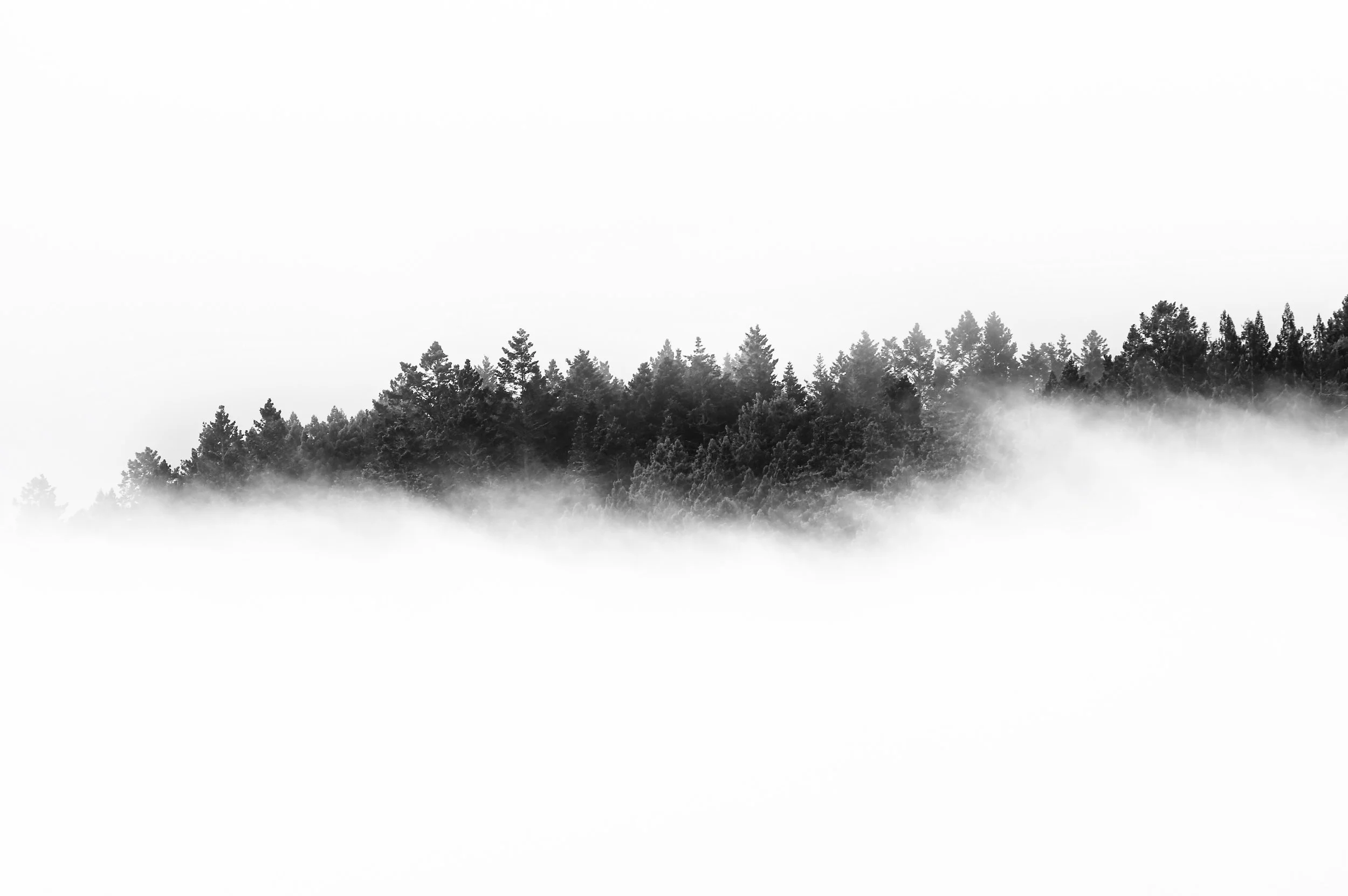 ADD59304-3136-43BB-8FDD-F6B9F95206CF.JPG