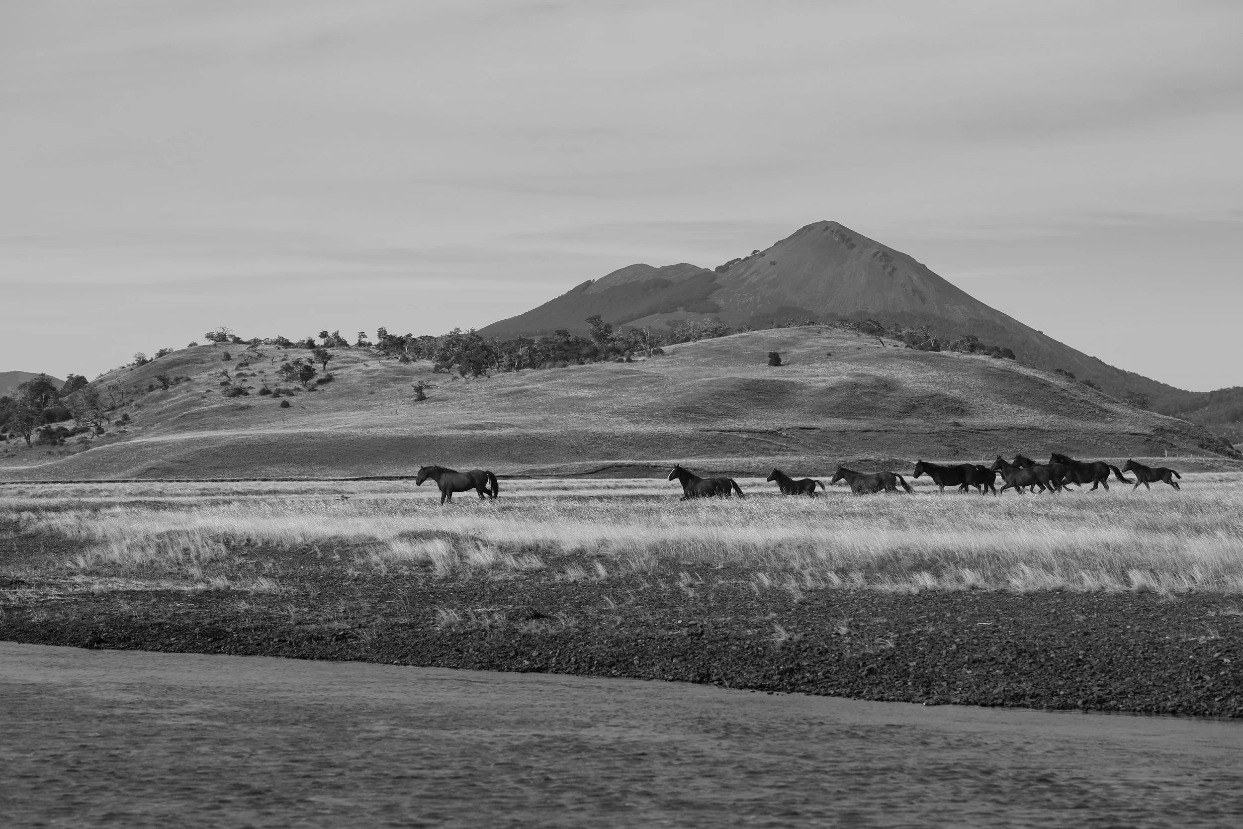 Escondido Tribe I