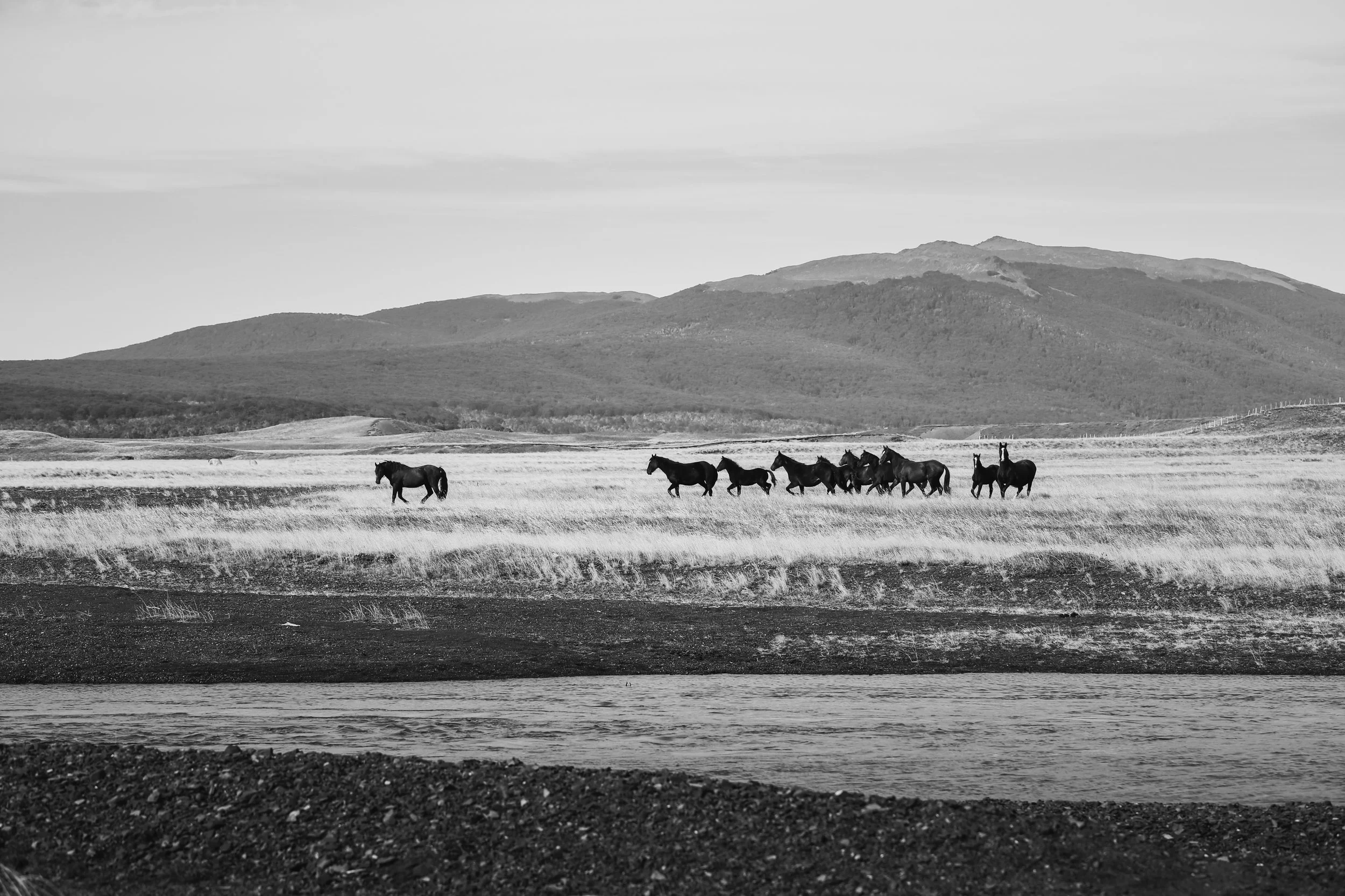 TierraDelFuego2021_PuestoEscondido_263_VSCO.JPG