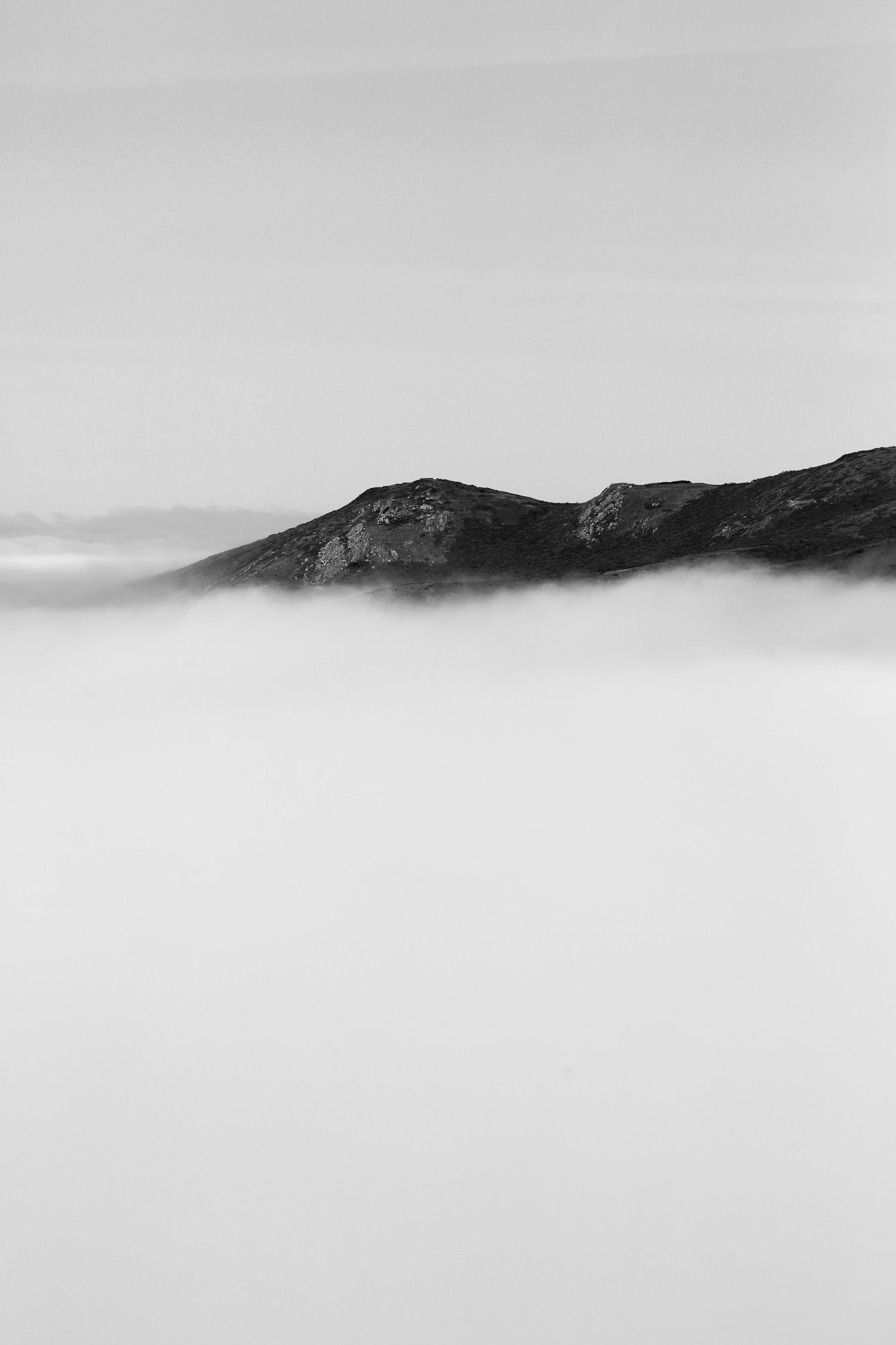 031117_GGB_44.JPG