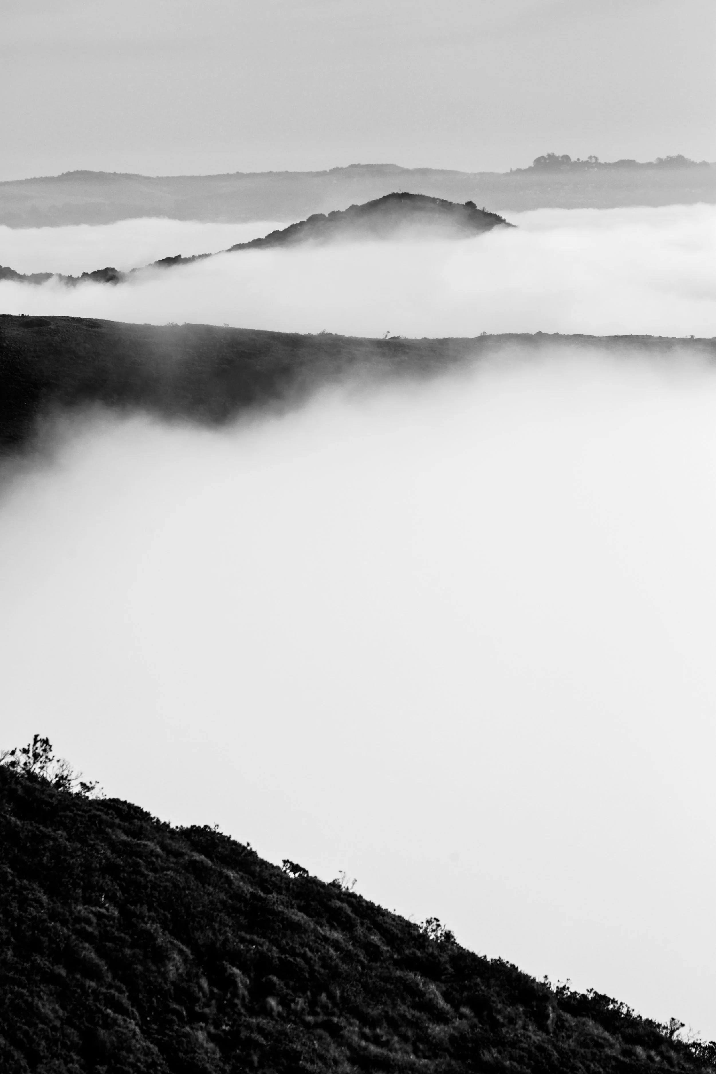 031117_GGB_42.JPG