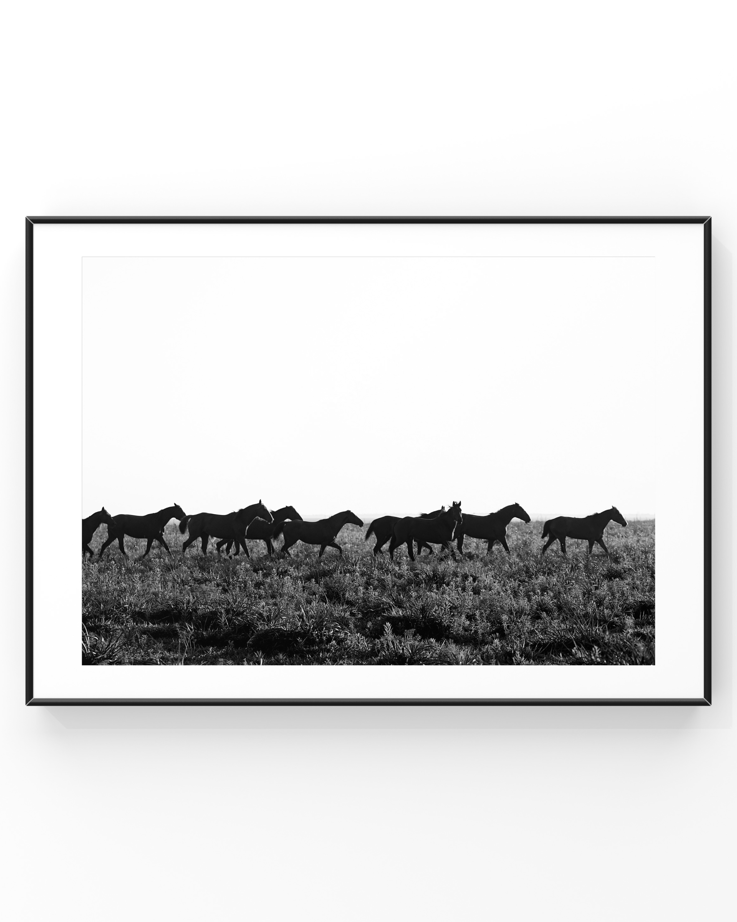 Black and white photograph of horses running in a line on grassy terrain, framed in black.