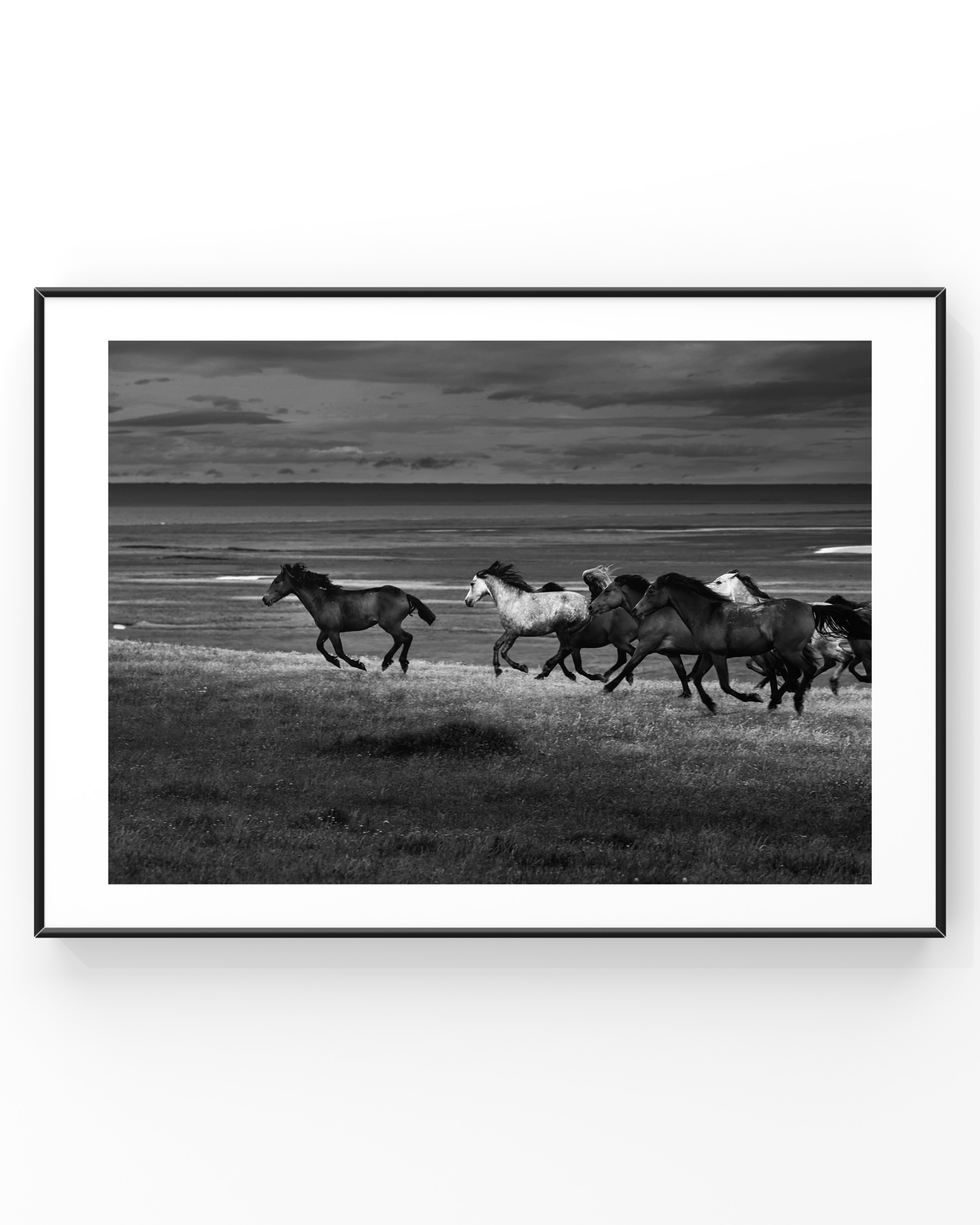 Black and white photo of horses running on a grassy field near the ocean, framed in black.