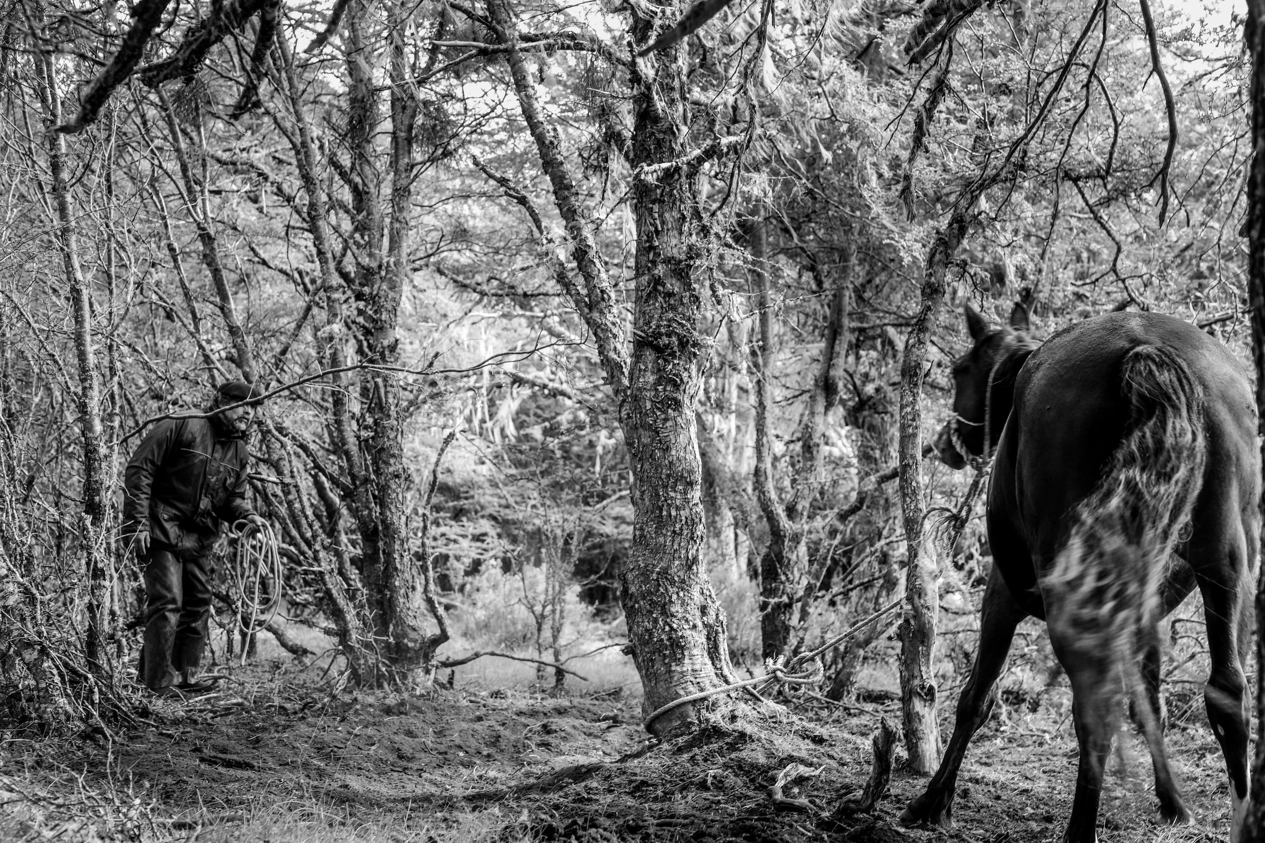 Bagualeros_2023_14.jpg