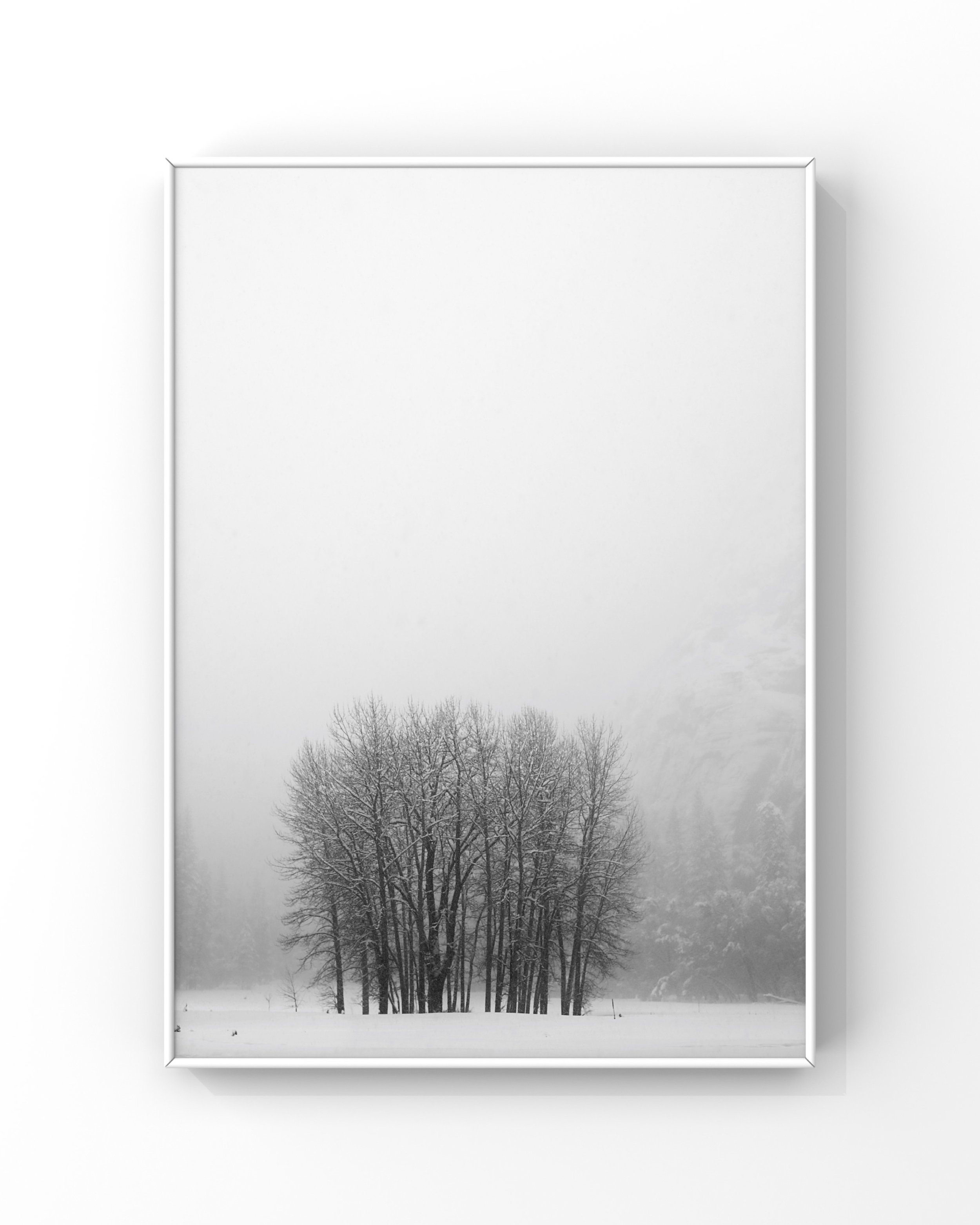 Black and white photo of bare trees in a snowy landscape against a foggy background, framed for display.