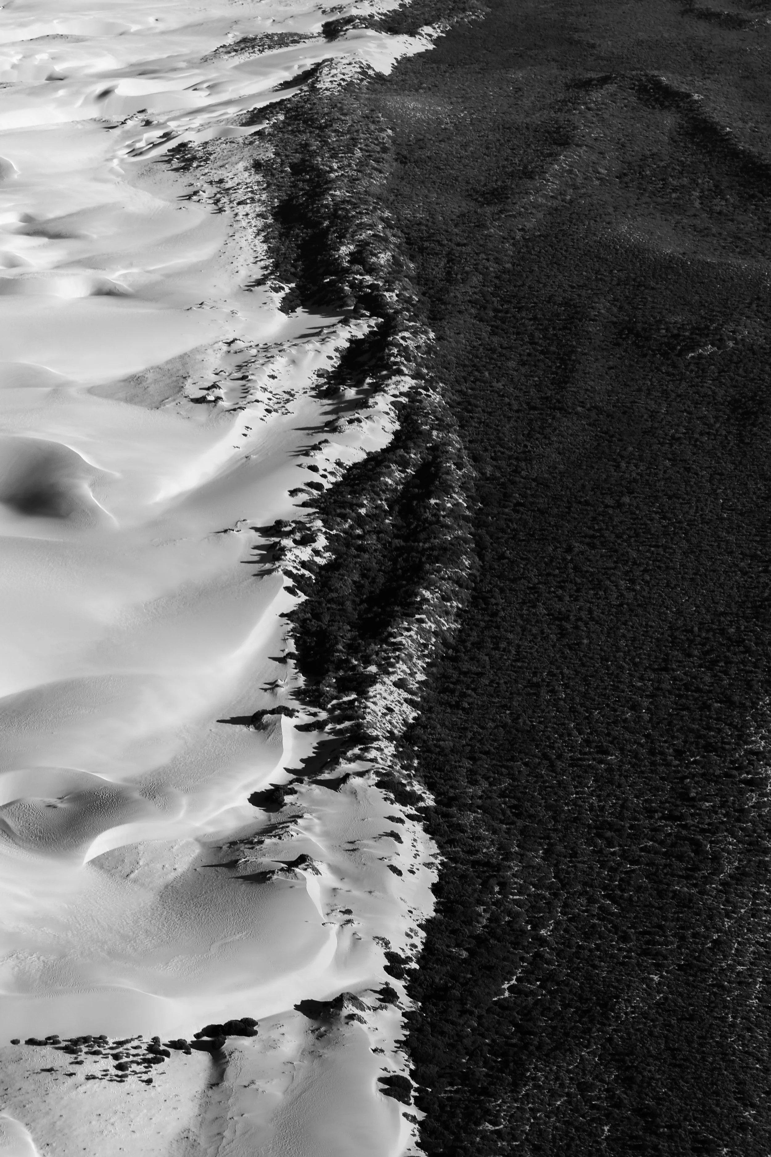 Shifting & Rooted
