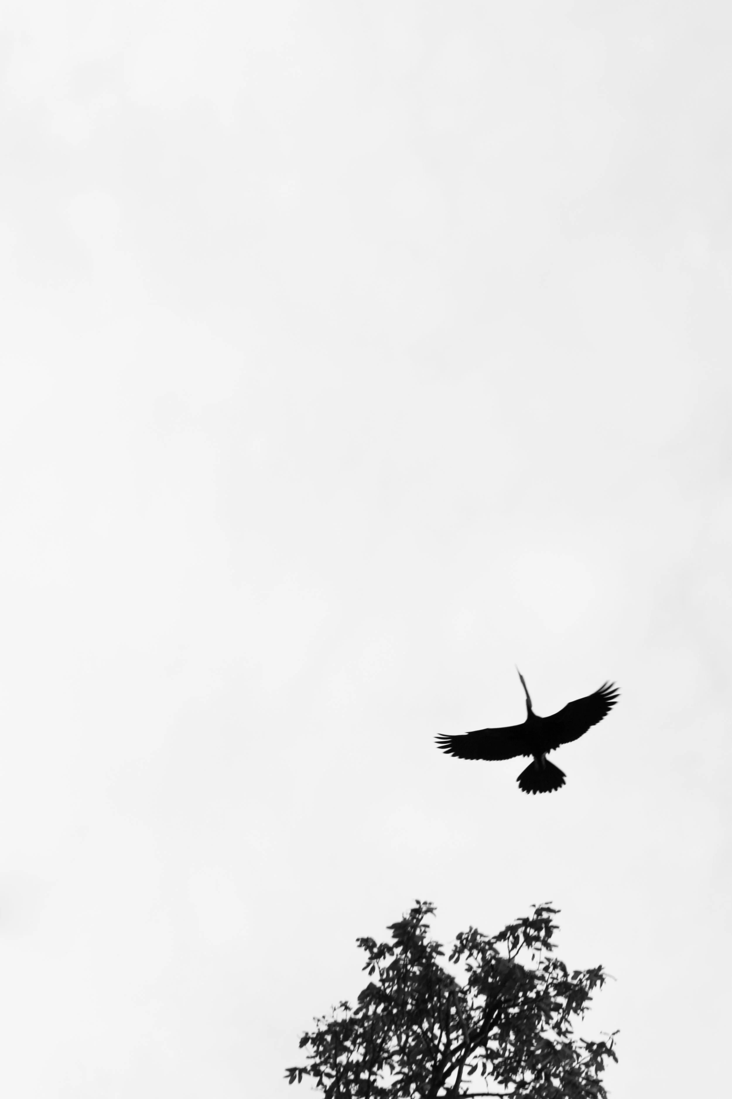 SriLanka_112 2.JPG