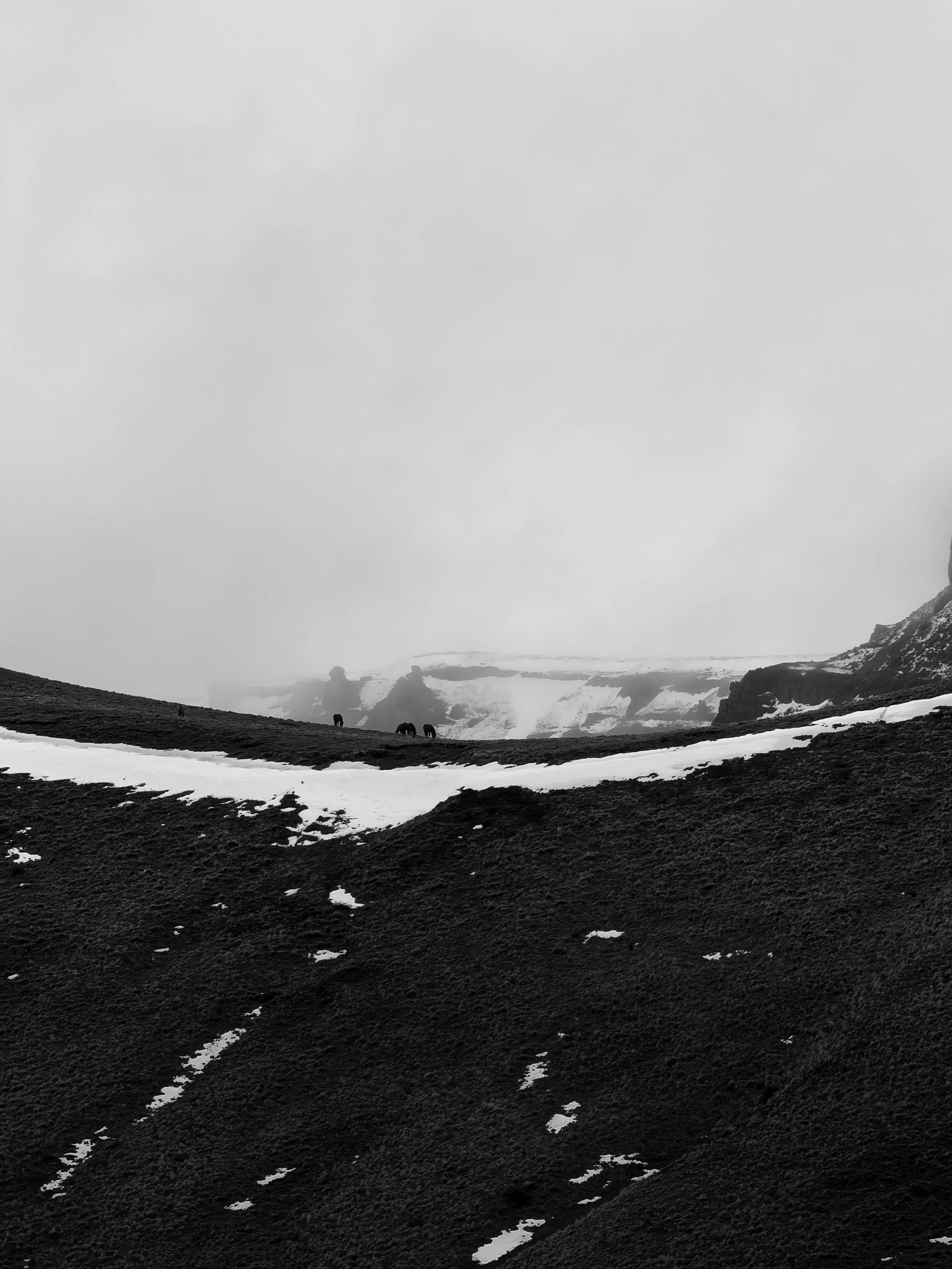 SierraBaguales_56.jpg