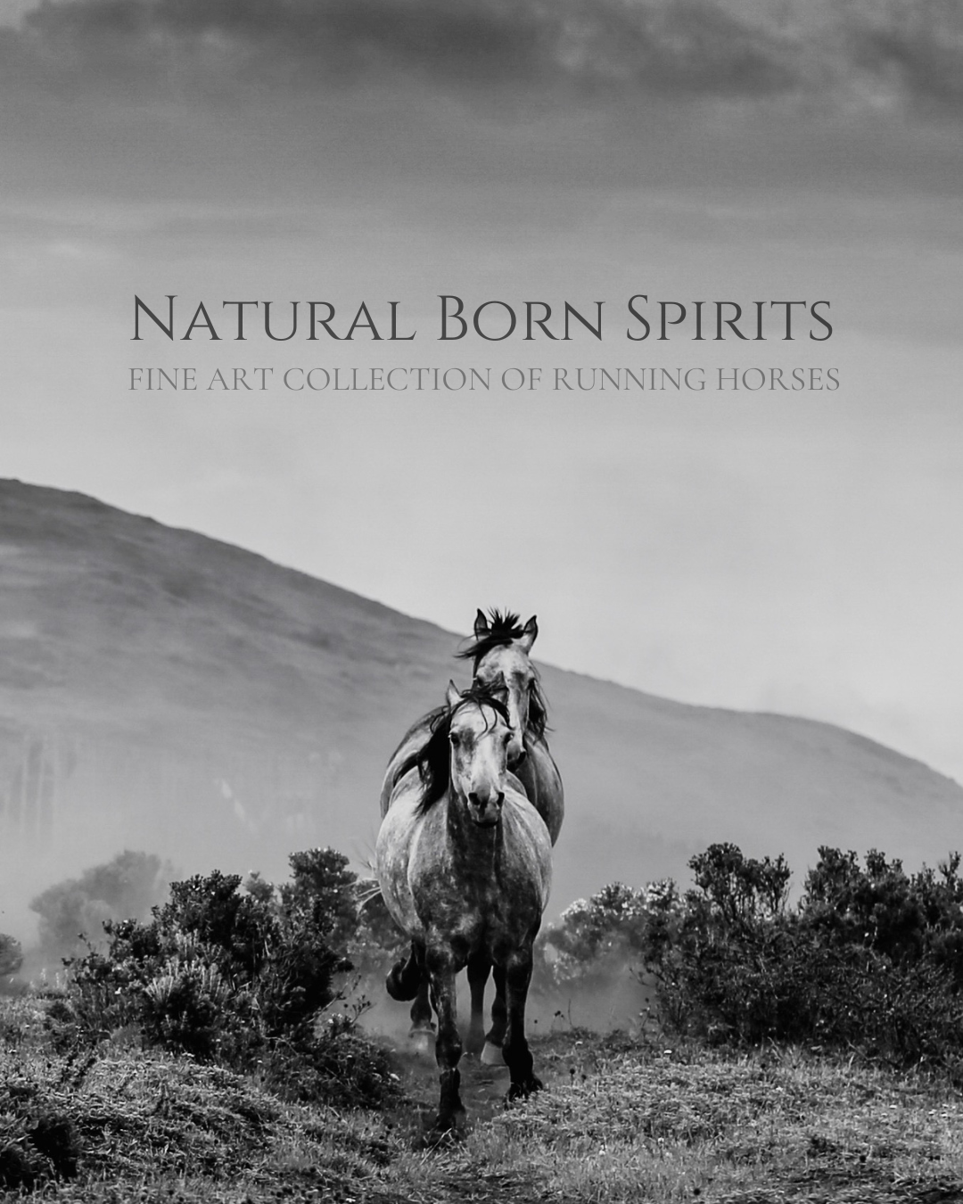 Natural Born Spirits.png