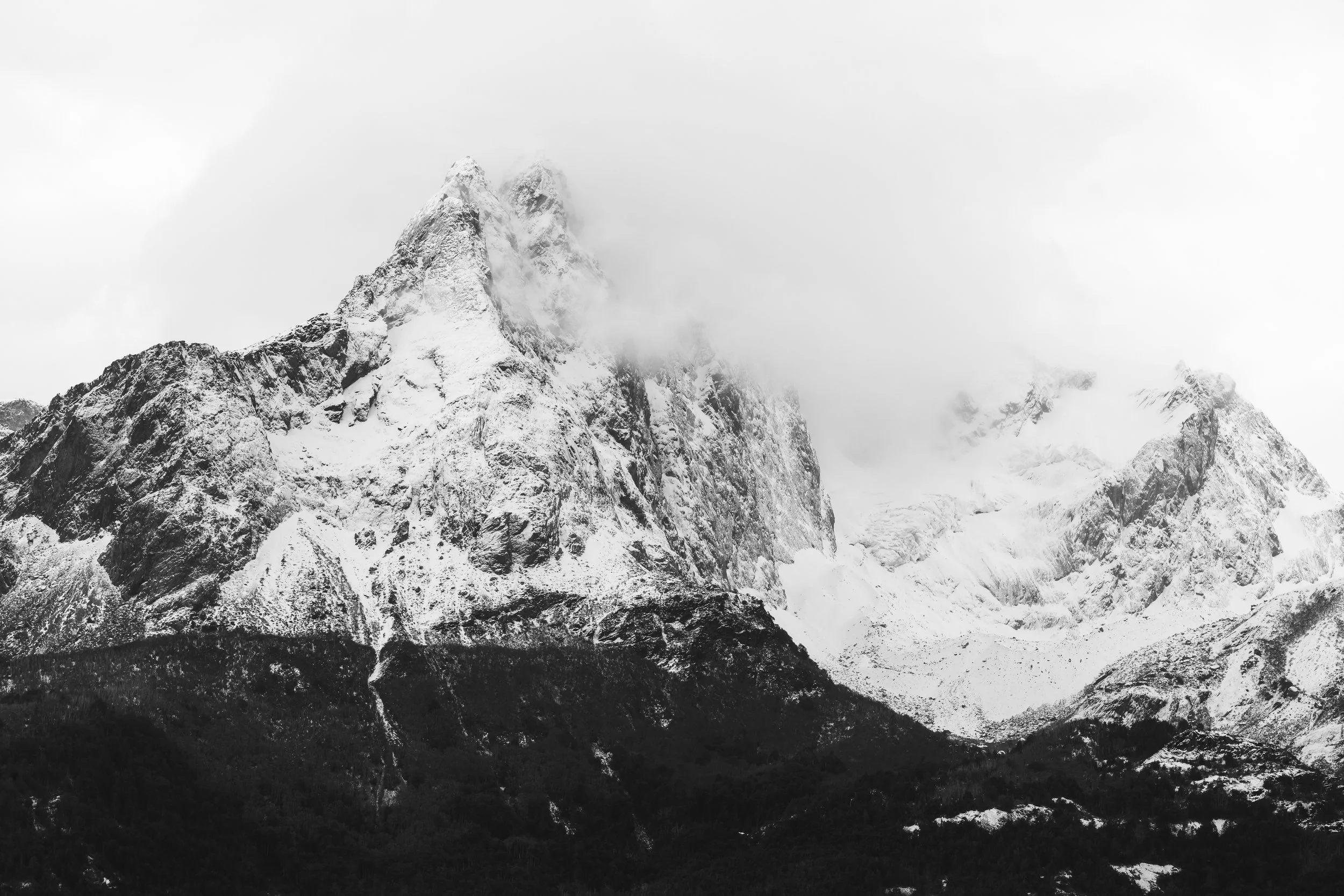 CordilleraDarwin2026_67.jpg