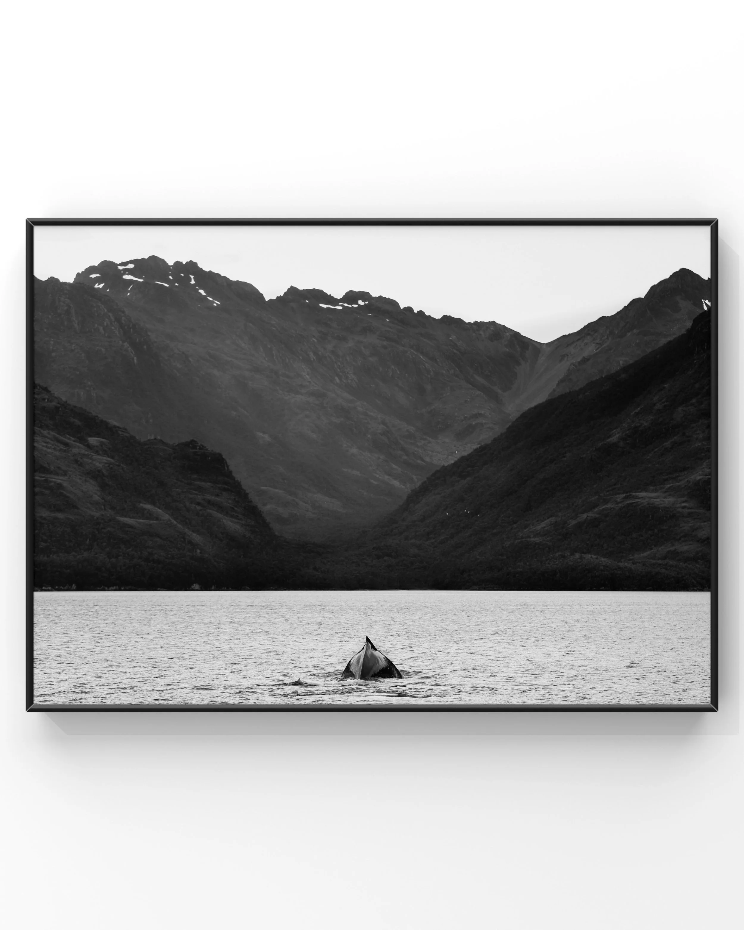 Black and white photo of a whale's tail above water with mountainous landscape in the background.