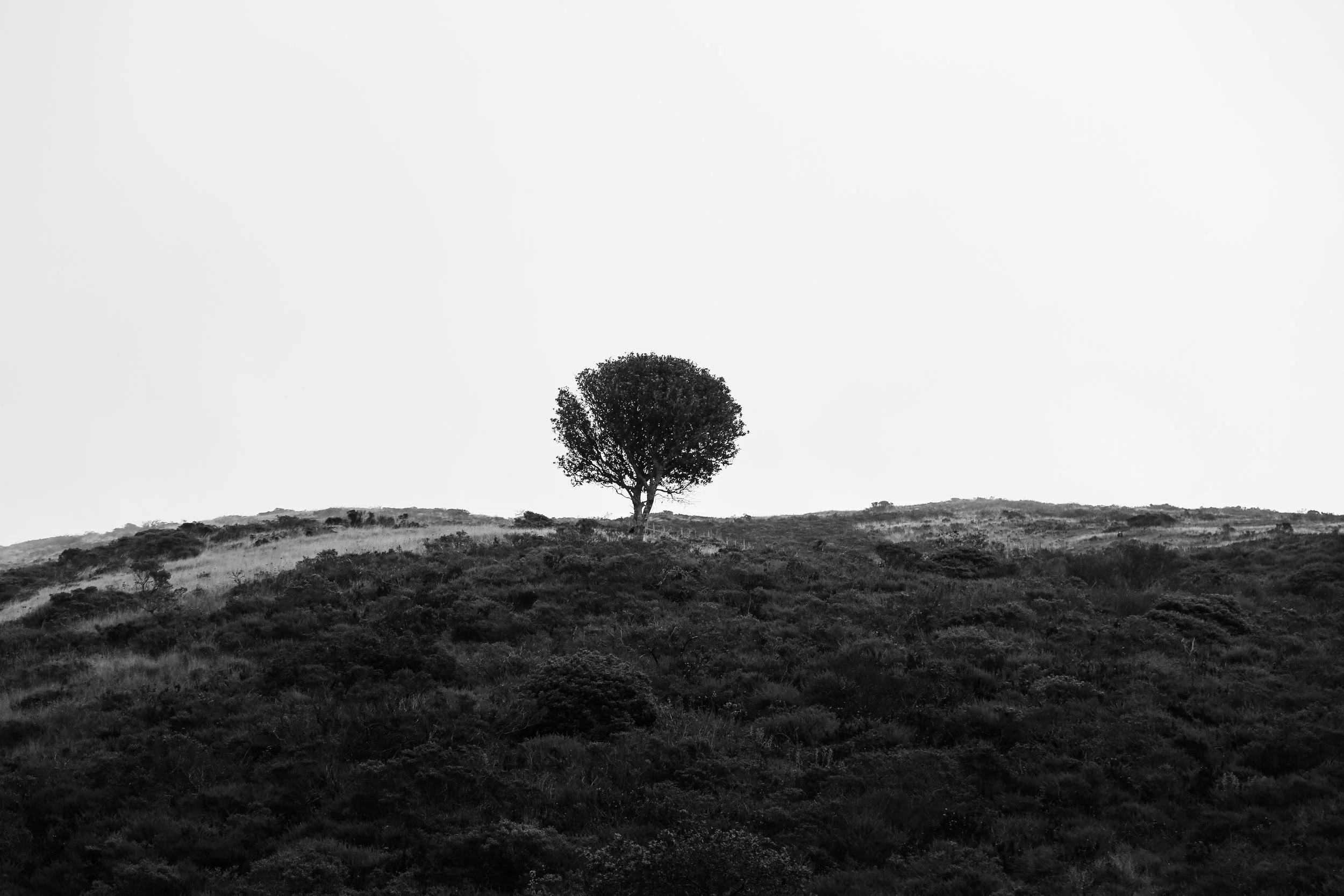 081819_GGB_3.jpg