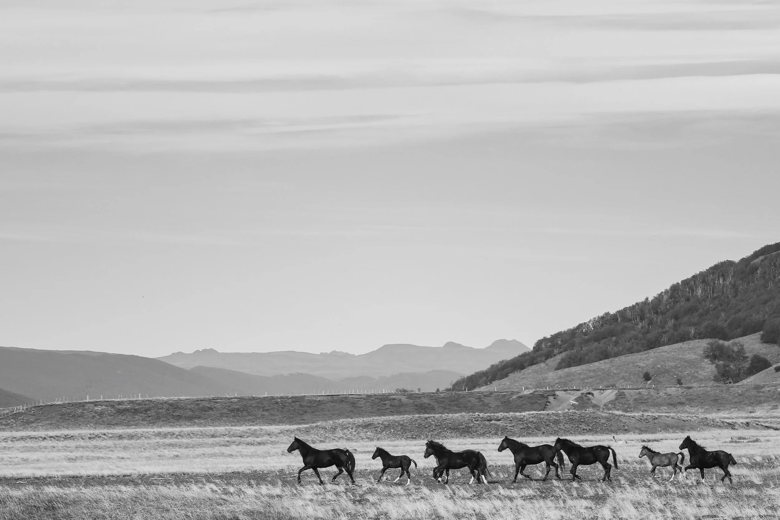 TierraDelFuego2021_PuestoEscondido_258_VSCO.JPG
