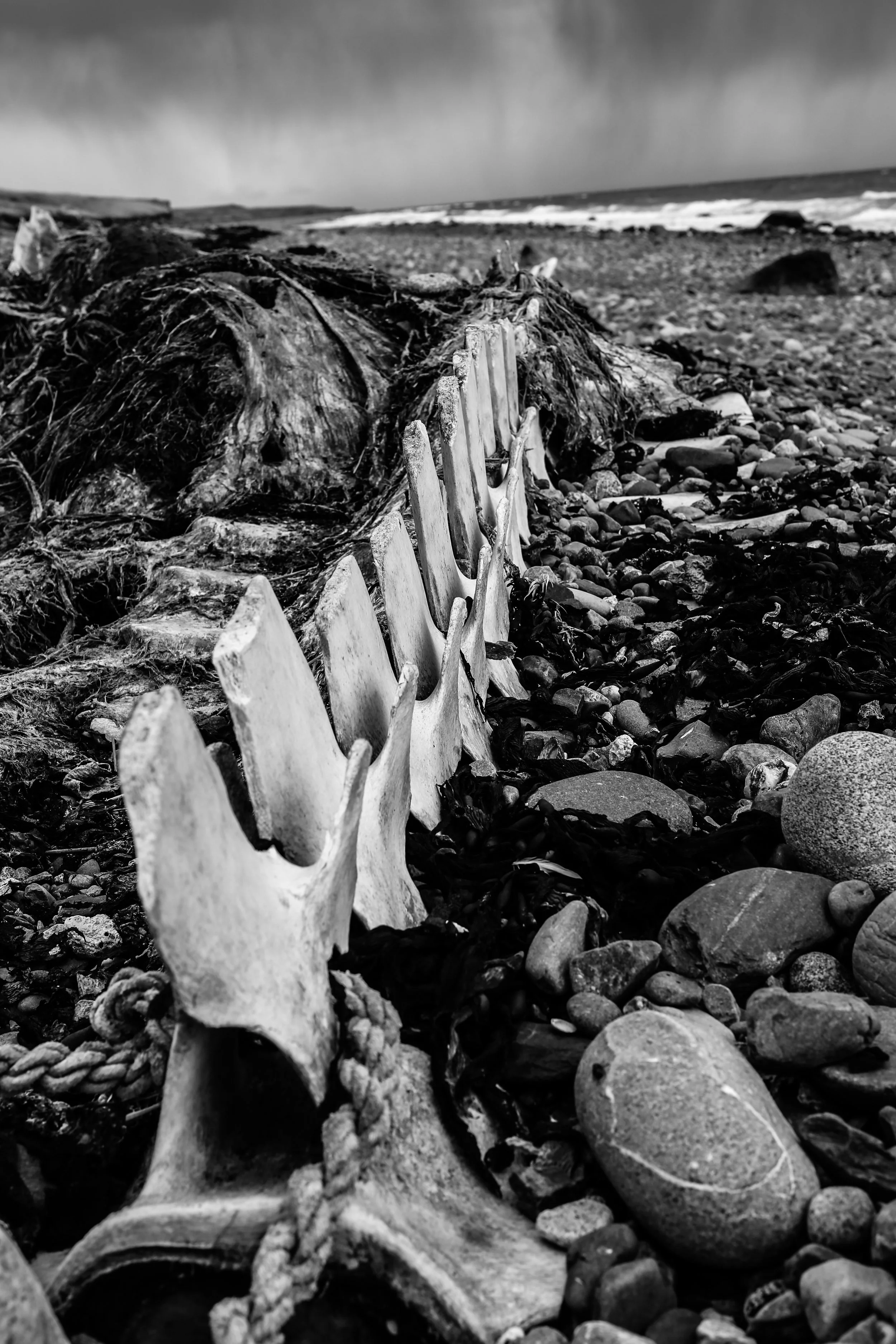 TierraDelFuego2021_PuestoEscondido_56.jpg