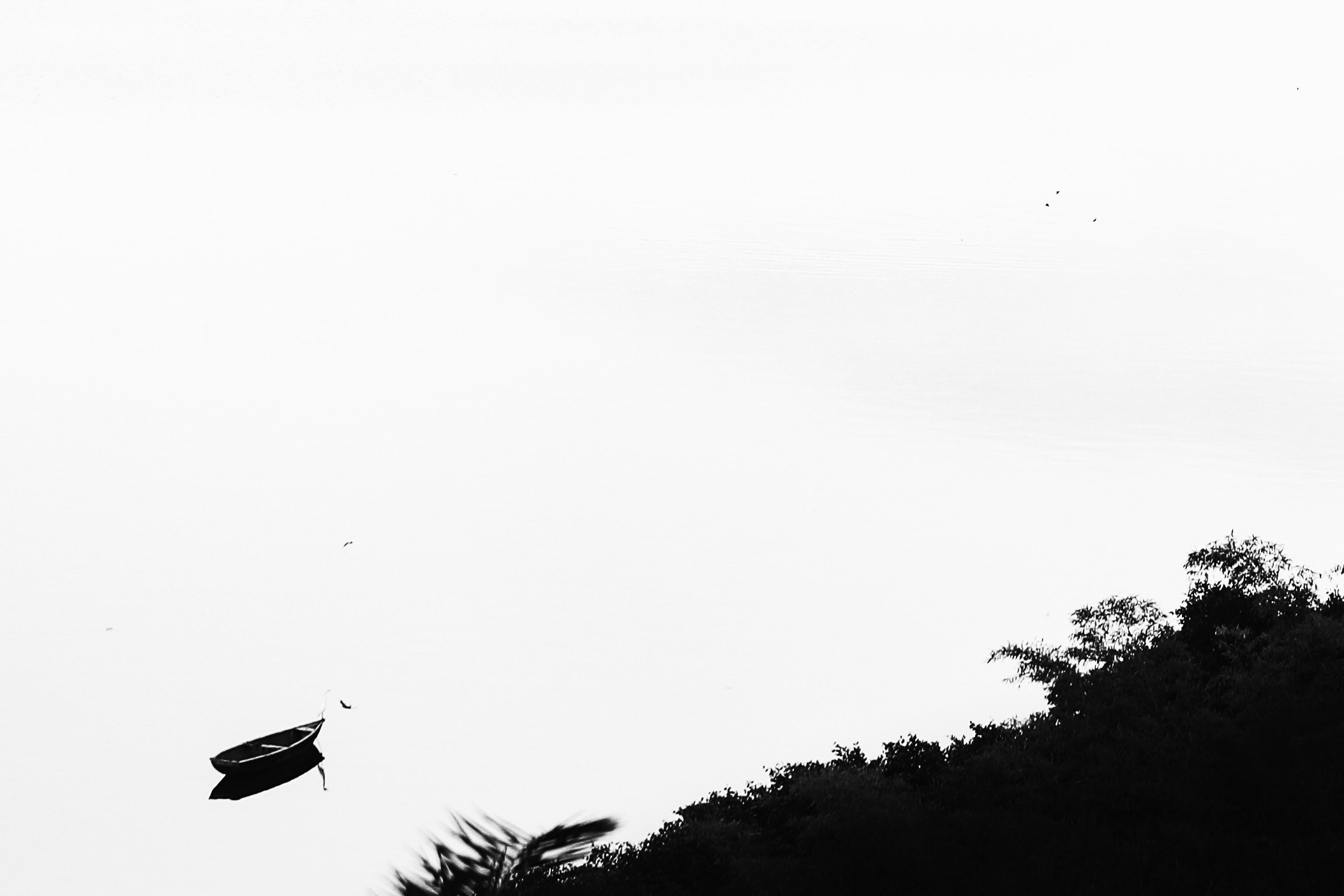 Adrift