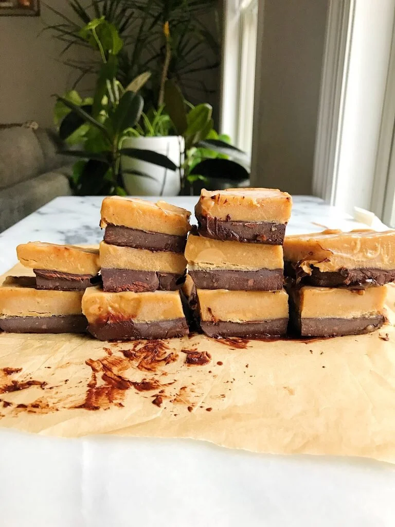 Almond coconut fudge bars sugar free vegan
