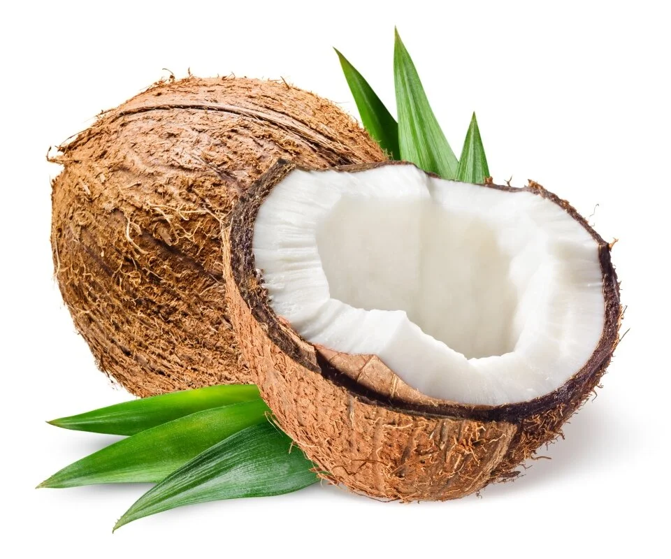 Coconut